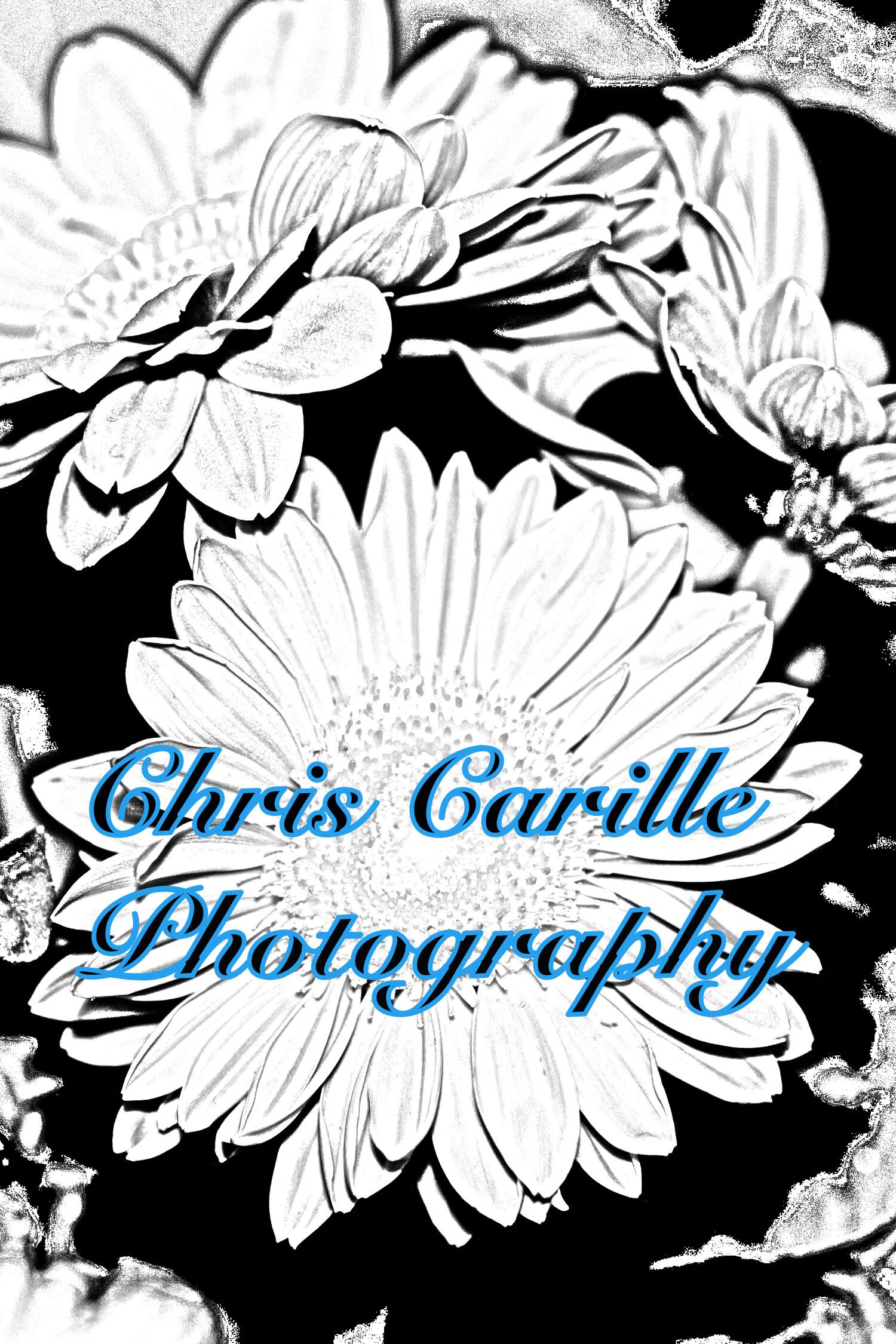 Carille Photography