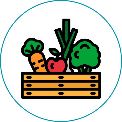 Fresh Produce for School Meals — 1 Month