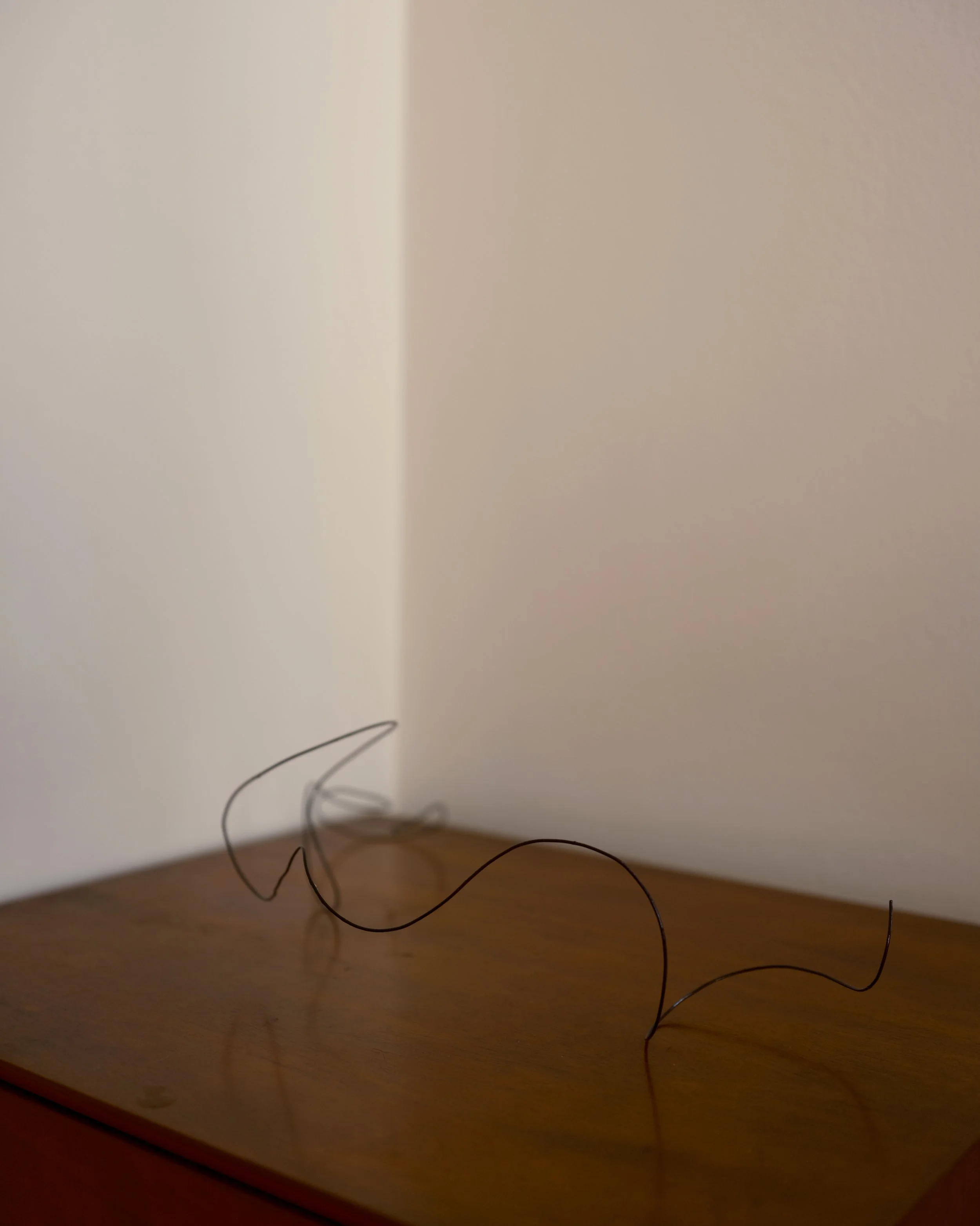 Cadillac dreams (2026)