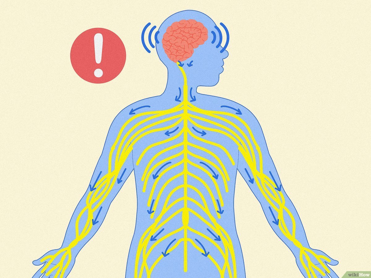      

 
   June, 2022 Topic: Nervous System Regulation 
 




















  
  



    










































  

    
  
     

      

      
         
          
        
        

        
          
            
        