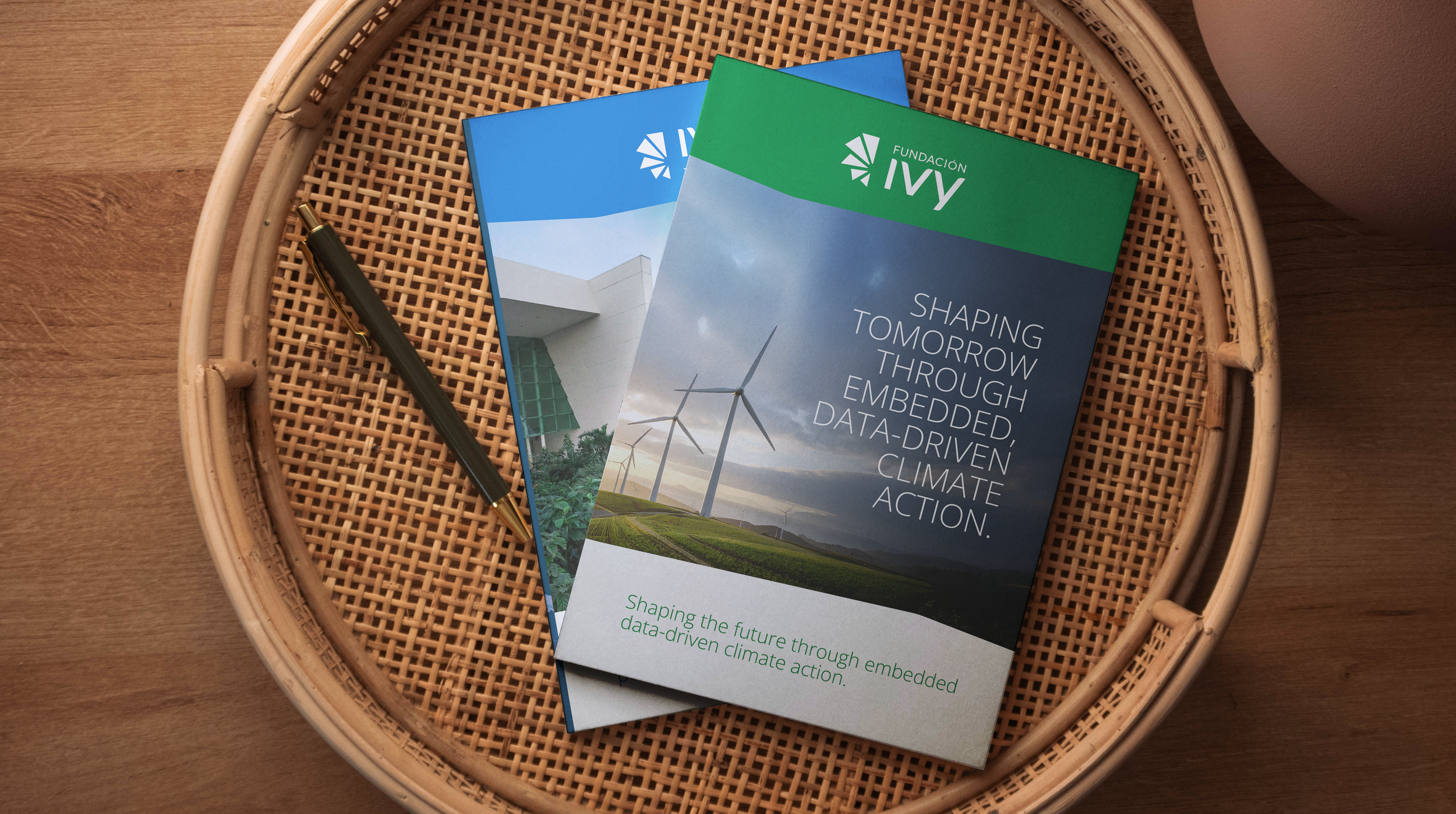 Diseño Brochure Fundación IVY