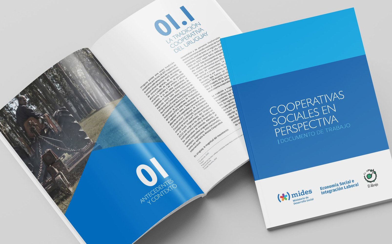Publication design | MINISTRY OF SOCIAL DEVELOPMENT (MIDES) - EL ABROJO