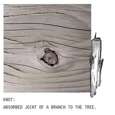 WOOD GRAIN KNOT