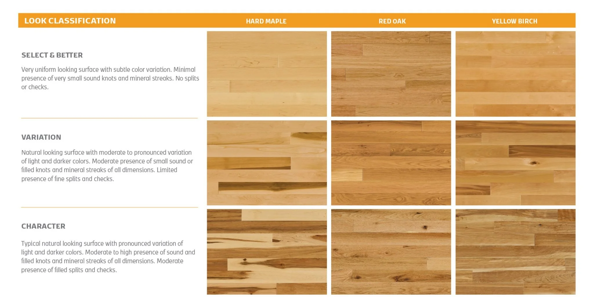 Comparison chart of wood flooring styles and finishes, showing three types: Hard Maple, Red Oak, and Yellow Birch, with classifications for 'Select & Better,' 'Variation,' and 'Character,' highlighting differences in appearance and grain patterns.