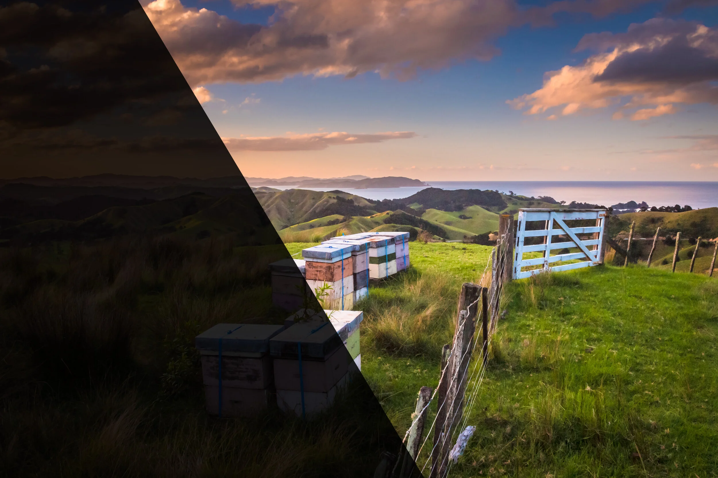 shutterstock_755062723 edit.jpg