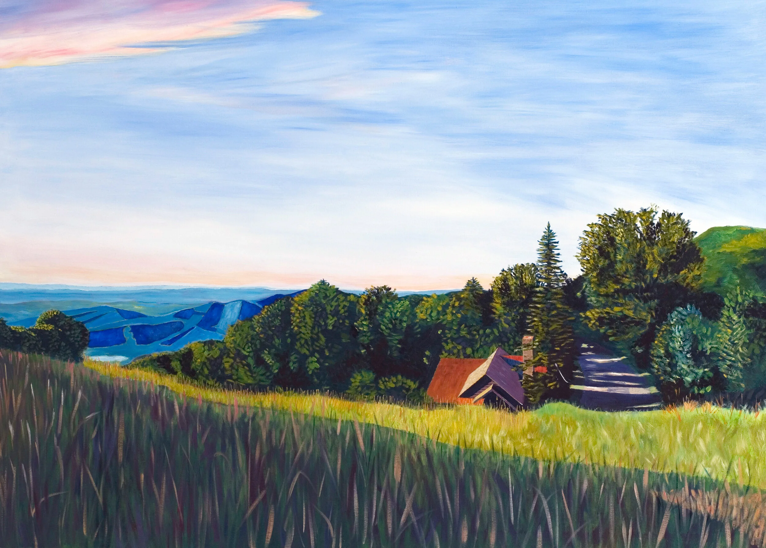 Skyland High Meadow, 2004

50 x 36 inches, oil on canvas
