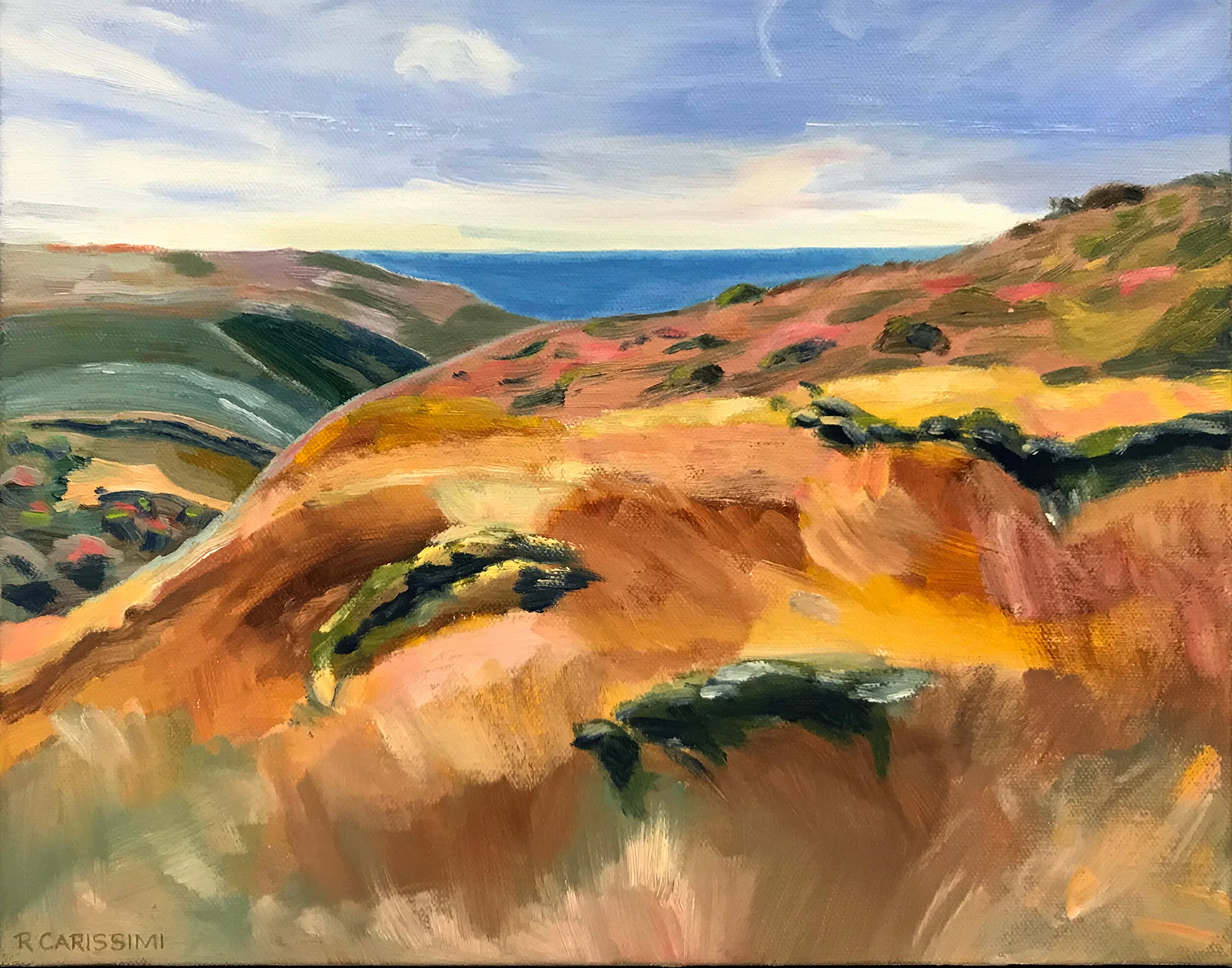 Point Reyes Afternoon, 2018,

14 x 11 inches, Oil on Canvas