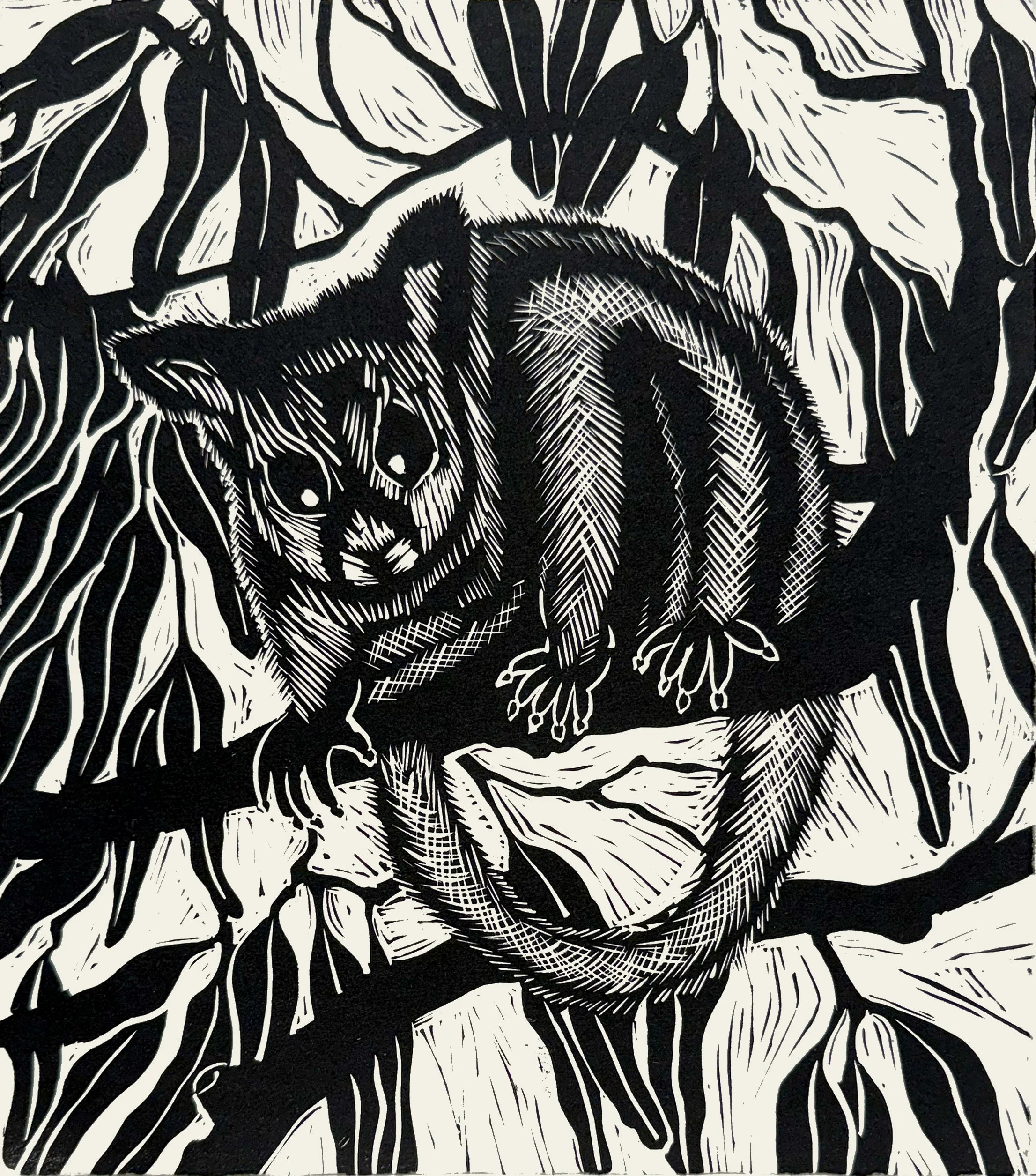 Possum, linocut, 29.5 x 29.5cm 
 on Hahnemuhle 300 gsm, edition of 40,                 $160 unframed