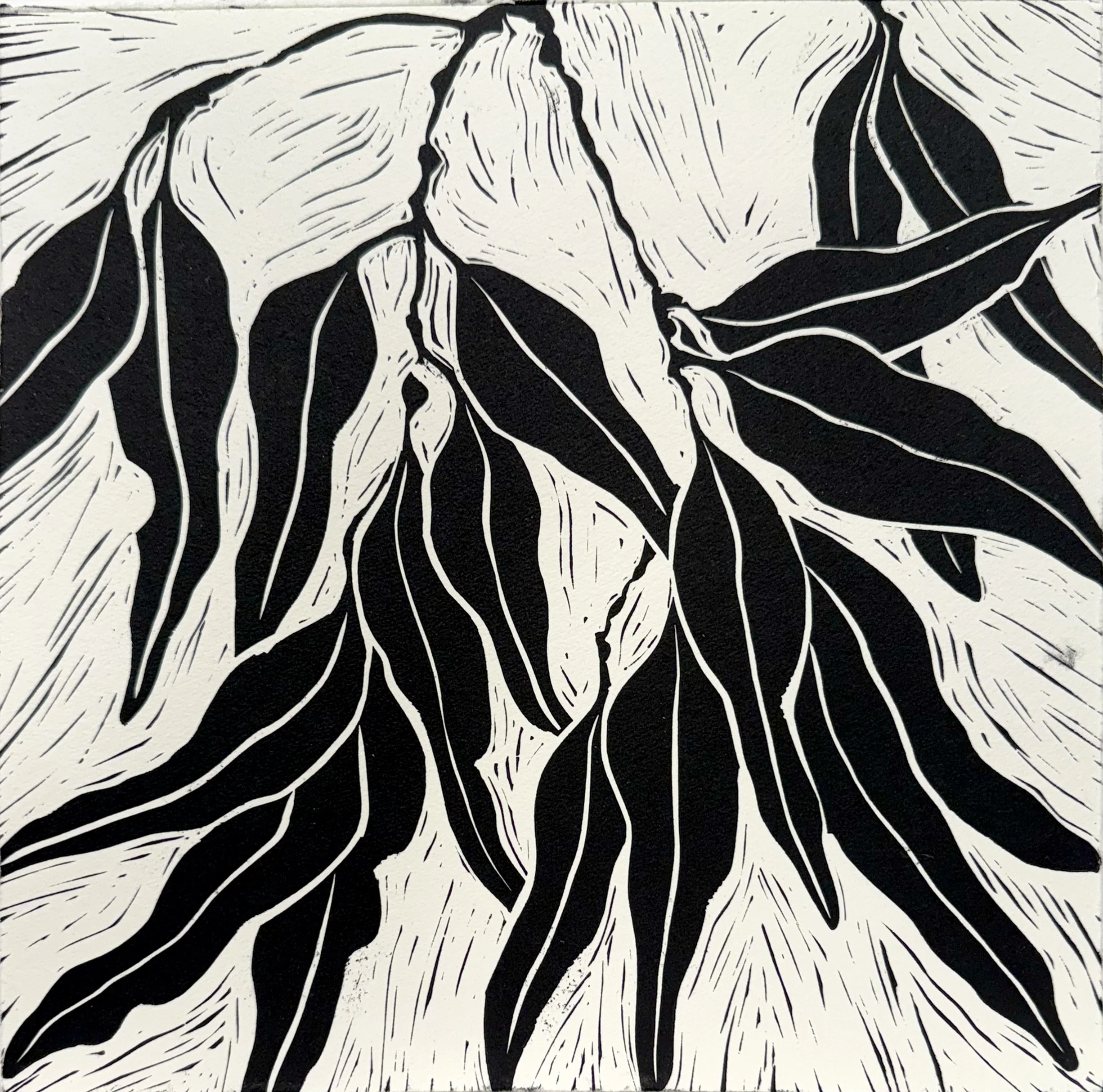 Gum Leaves, linocut, 29.5 x 29.5cm 
 on Hahnemuhle 300 gsm, edition of 40,                 $140 unframed