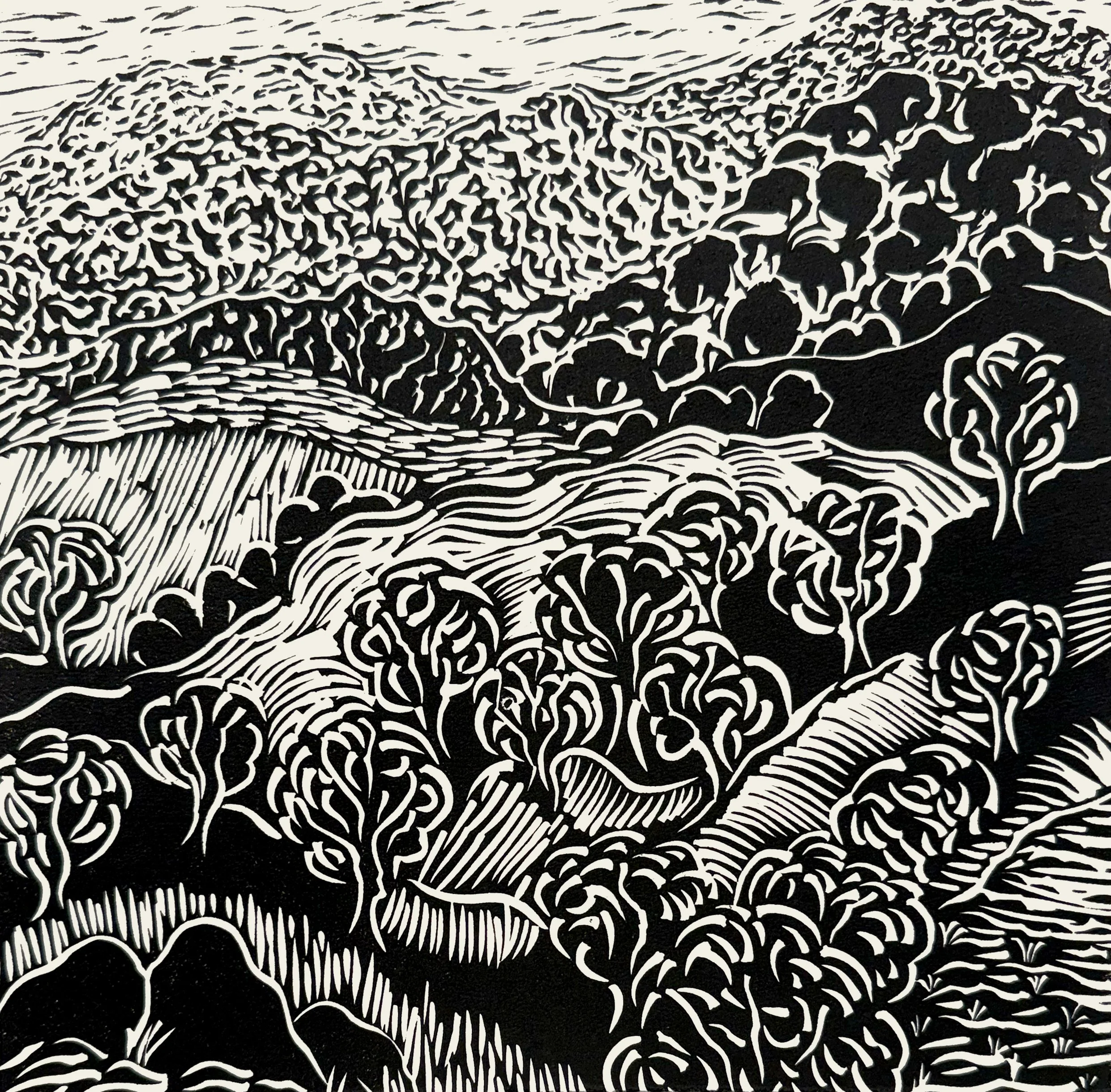 Landscape linocut, 29.5 x 29.5cm 
 on Hahnemuhle 300 gsm, edition of 40,                 $140 unframed