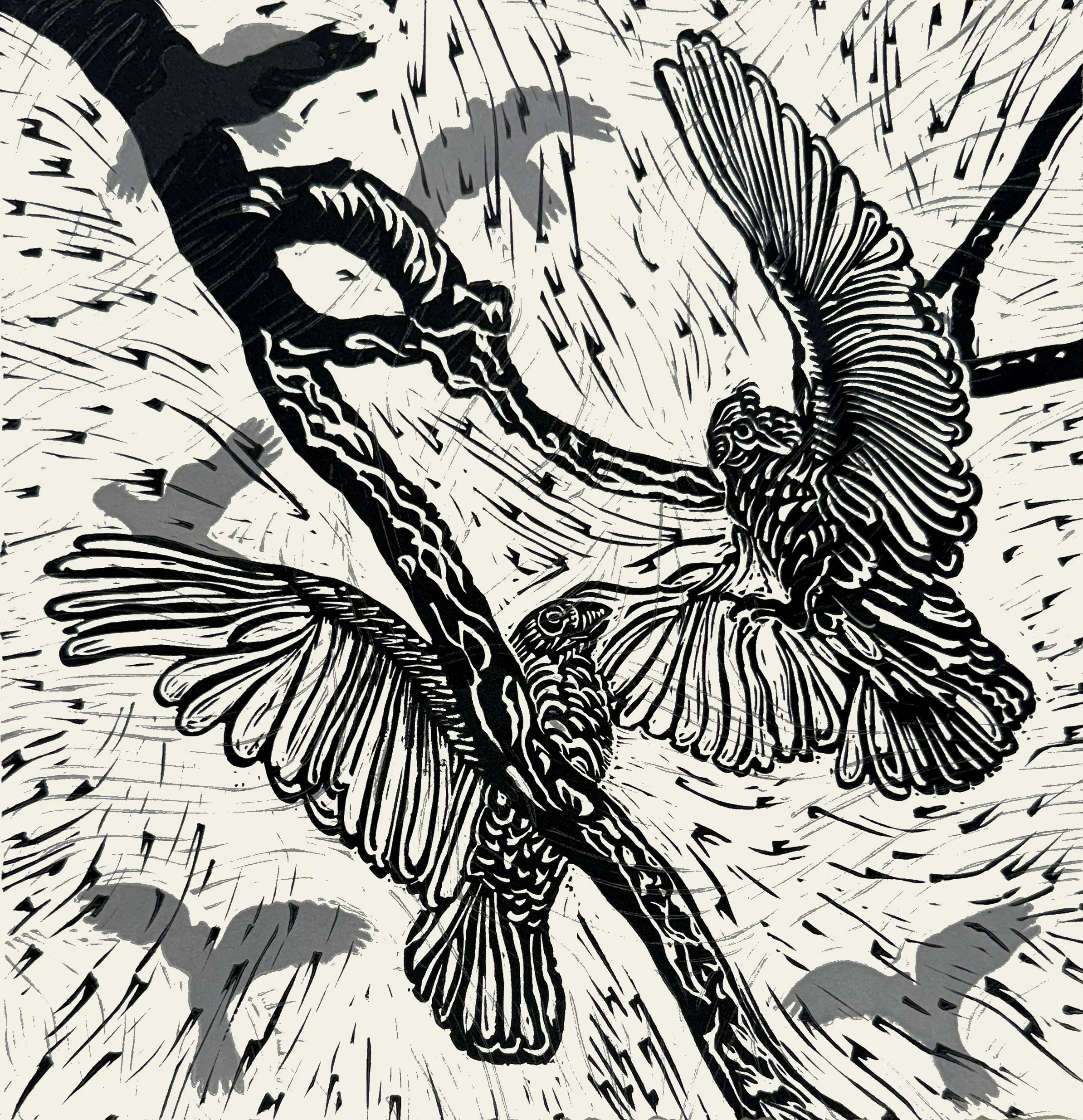 Corellas, two plate linocut, 29.5 x 29.5cm 
 on Hahnemuhle 300 gsm, edition of 40,                 $160 unframed