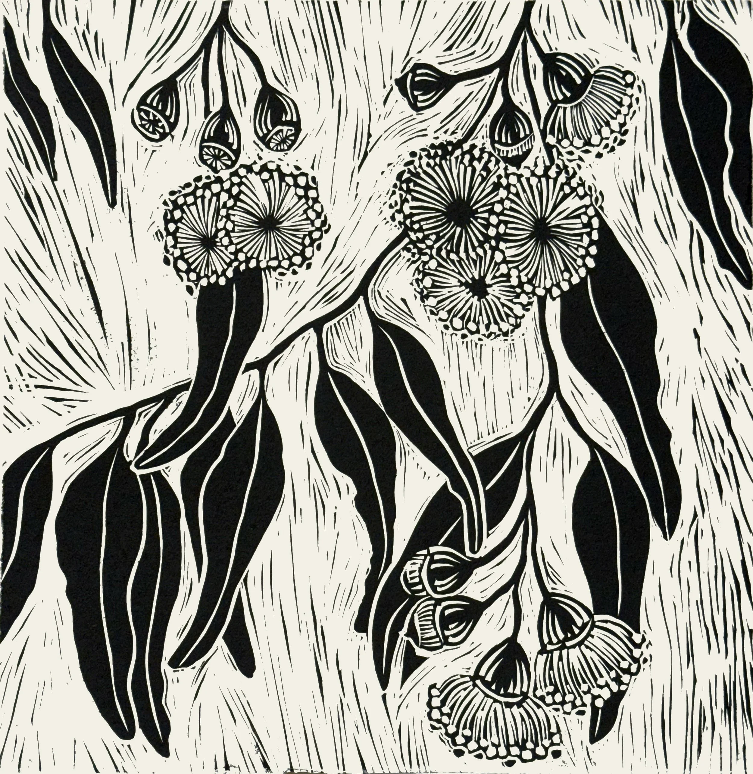 Gum Flowers, linocut, 29.5 x 29.5cm 
 on Hahnemuhle 300 gsm, edition of 40,                 $140 unframed