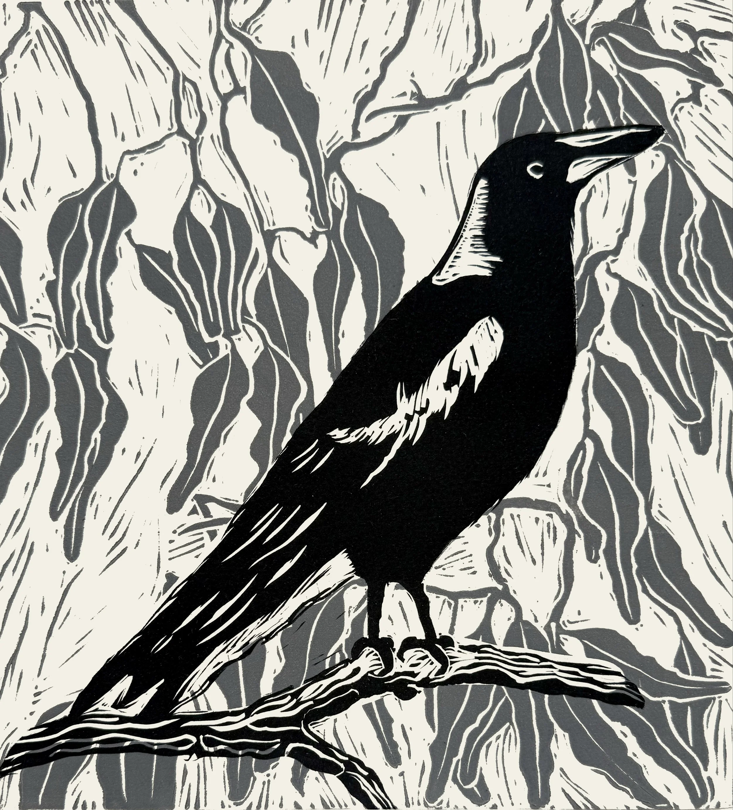 Magpie, two plate linocut, 29.5 x 29.5cm 
 on Hahnemuhle 300 gsm, edition of 40,                 $160 unframed