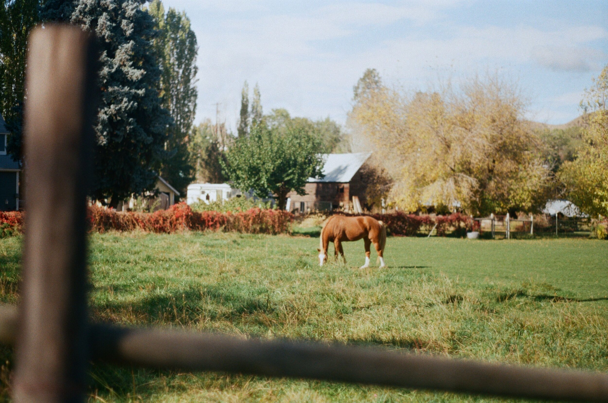 Scan33389.jpg