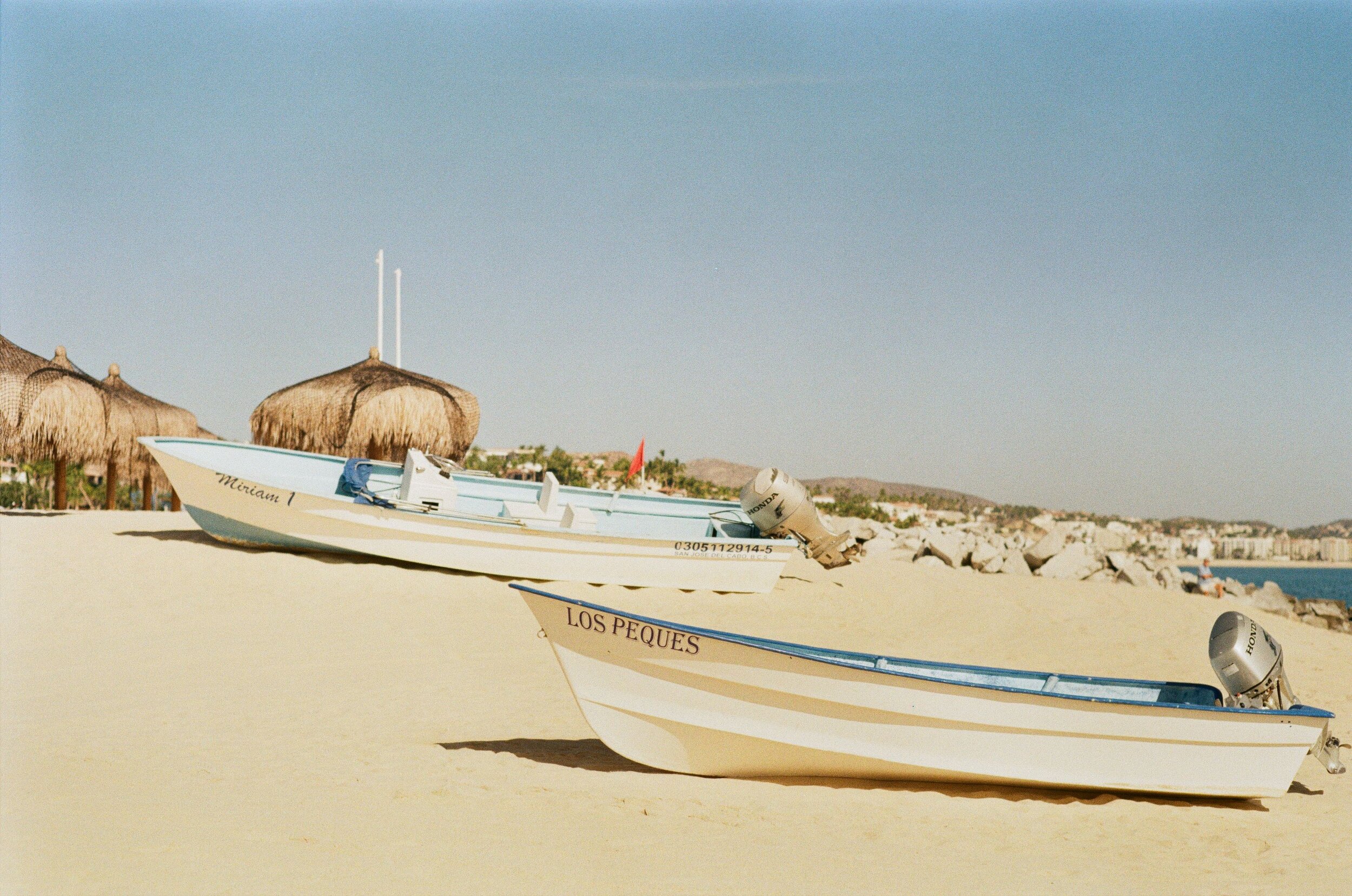 Scan2447.jpg