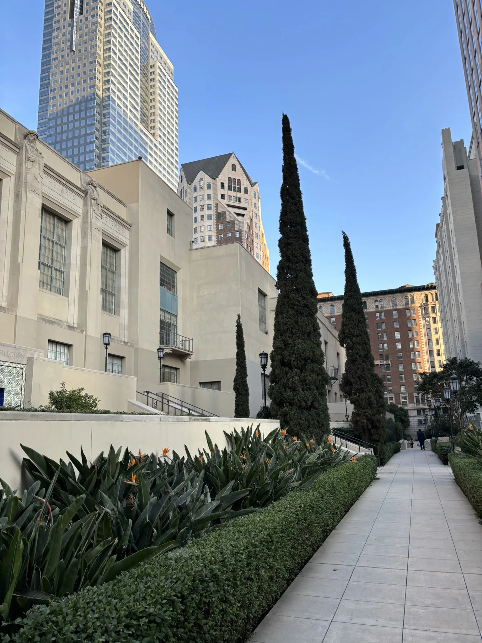 IMG_0361.JPEG
