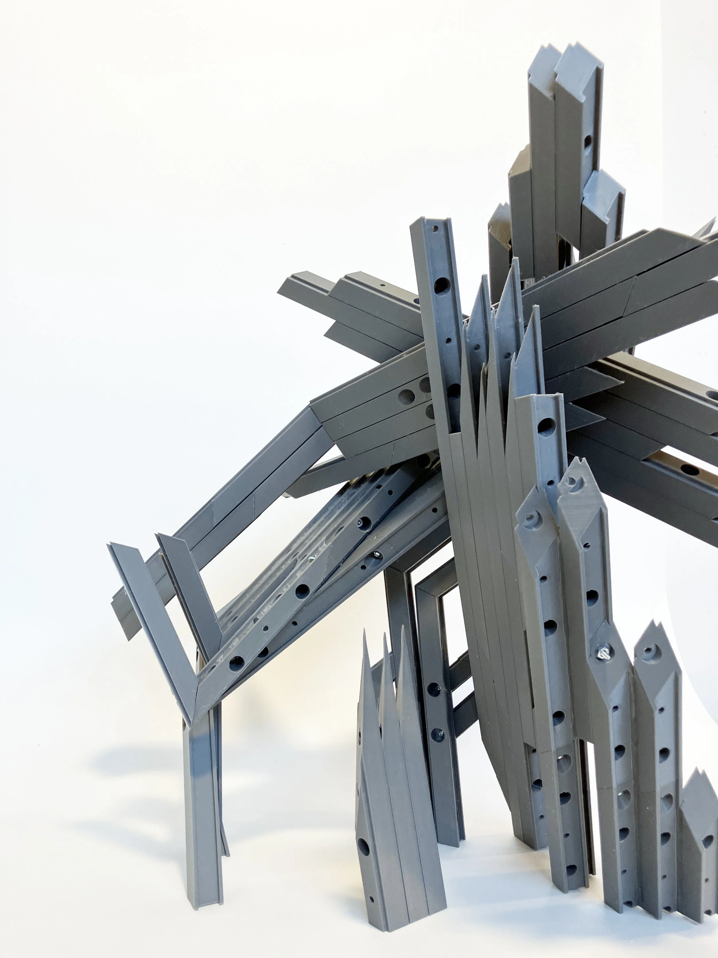 3D Printed Study Model