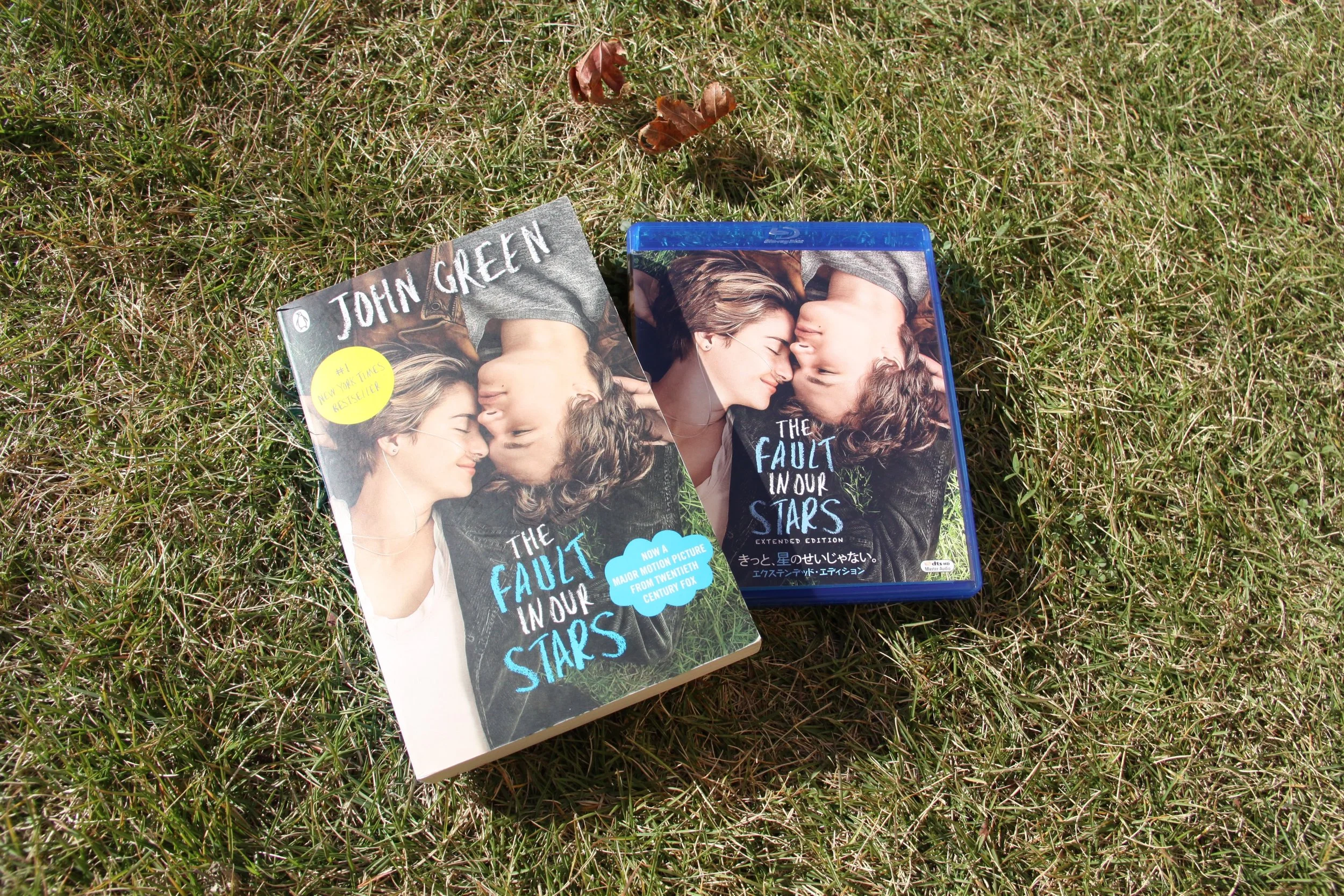 Interview Questions I Would Ask John Green if I Crossed Paths with Him Near the TFIOS Play Premiere