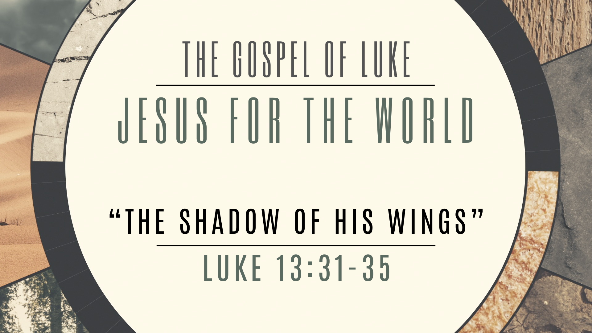 The Shadow of His Wings