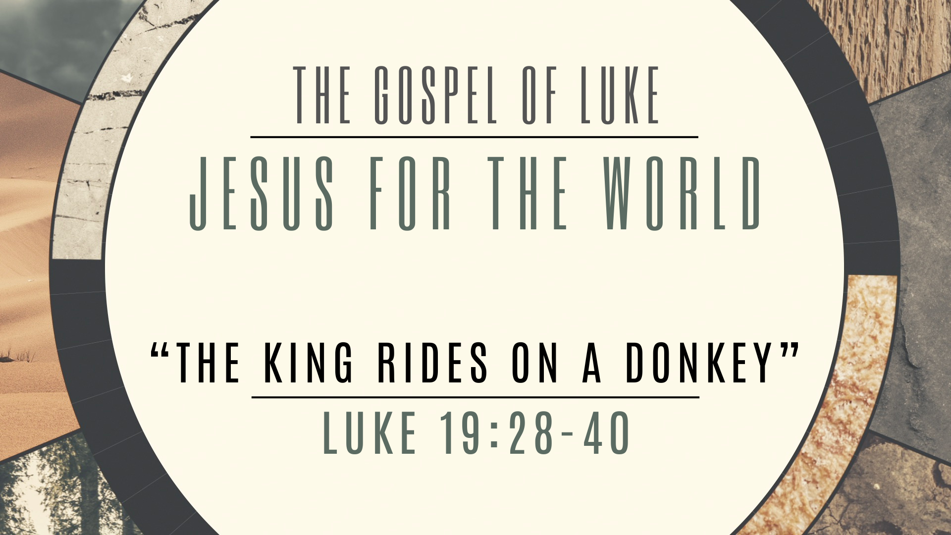 The King Rides On A Donkey