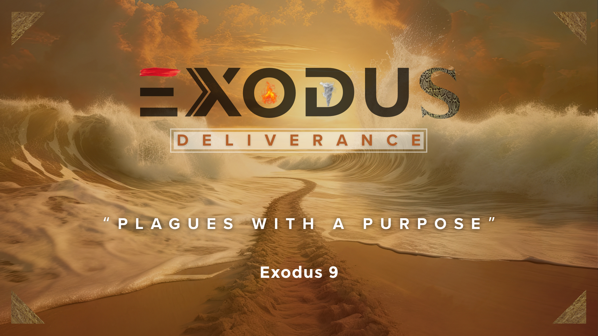 Plagues With Purpose