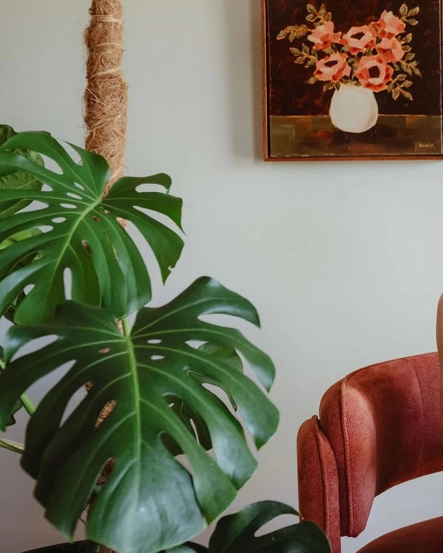 I&rsquo;ve been dreaming about painting - I think my brain&rsquo;s trying to tell me something 😆. Between solo parenting stints, kids&rsquo; sickness and my regular day job (I work part-time as a dietitian) I haven&rsquo;t picked up a paint brush in