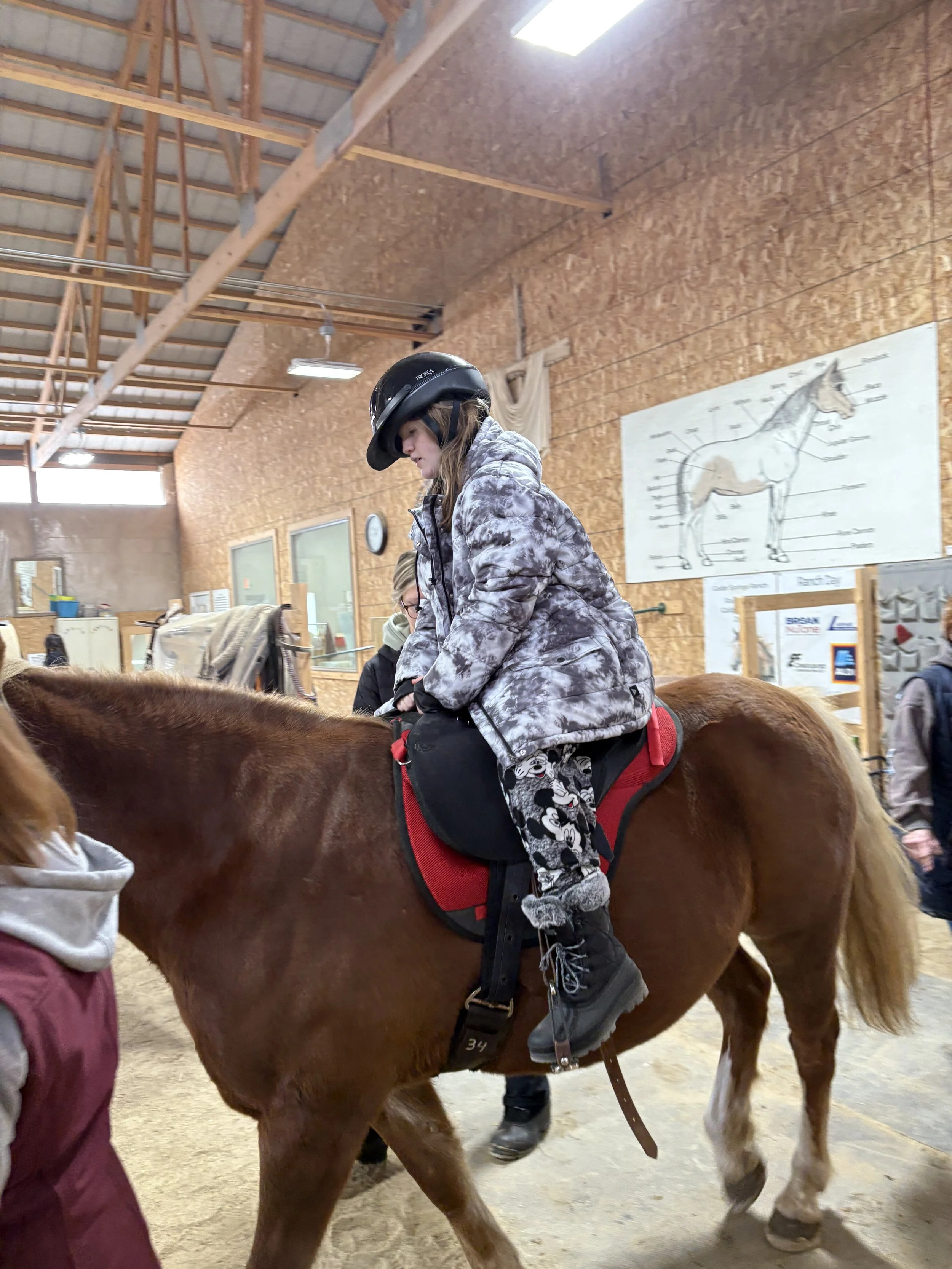 iSucceed Cedar Springs Therapeutic Ranch