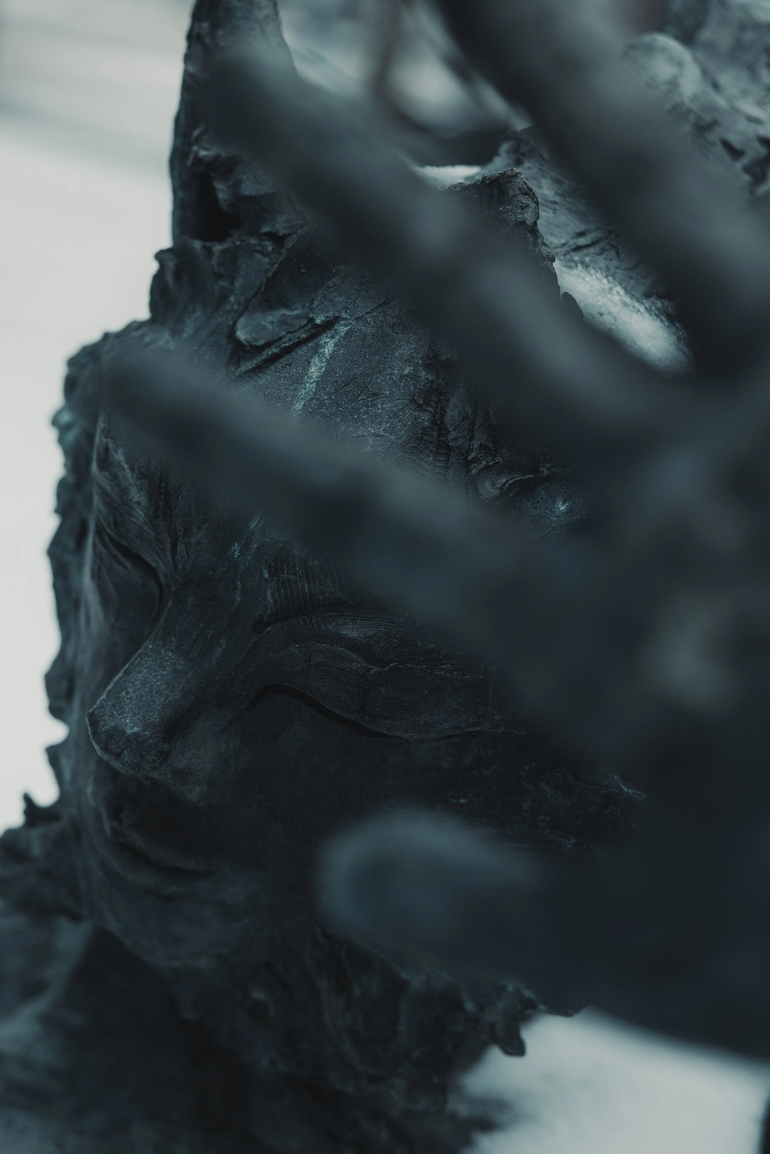 Close-up of a black sculpture of a human face, partially obscured by blurred foreground elements.