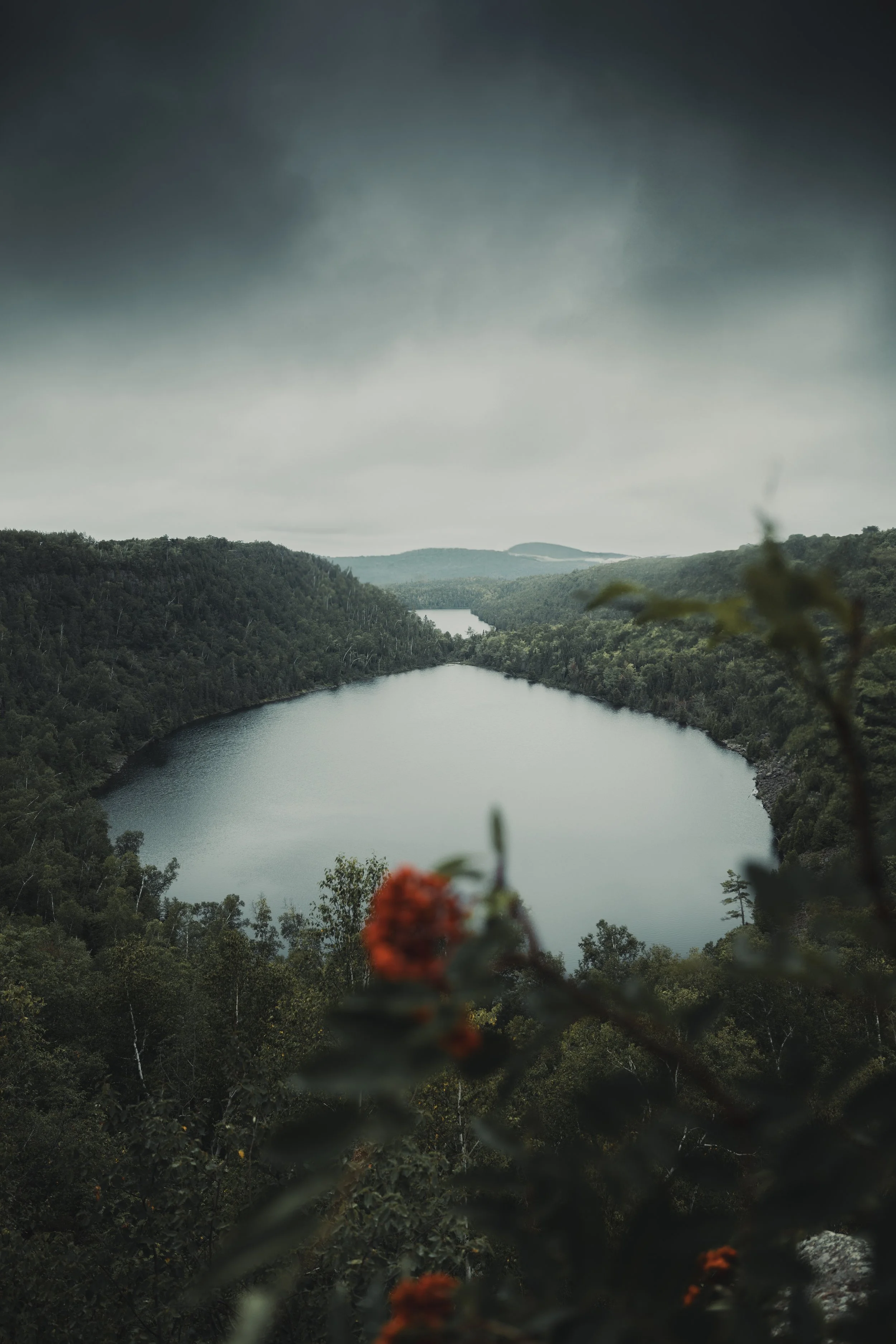 A scenic view of a river flowing through forested hills under a cloudy sky with some orange flowers in the foreground.