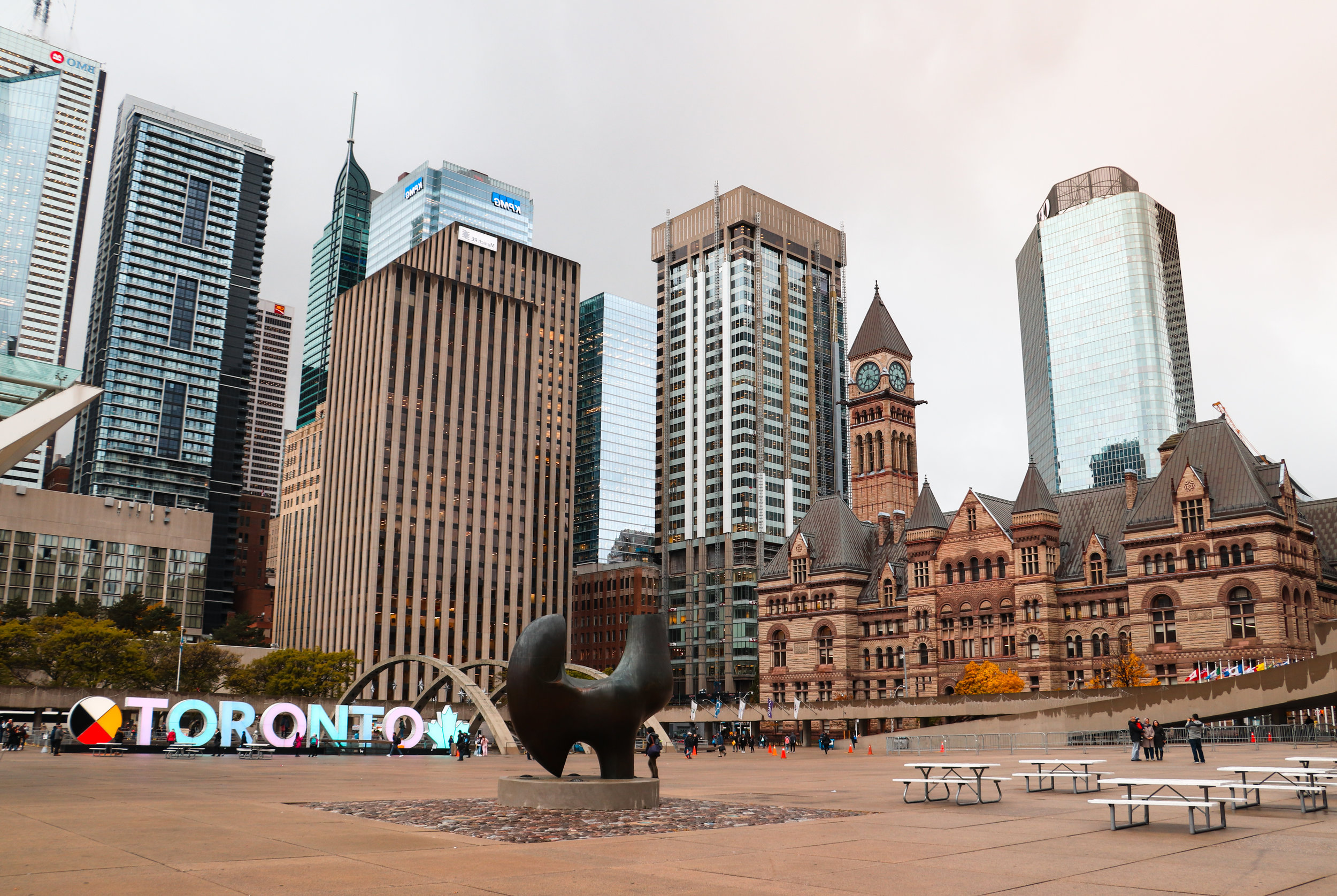 Green Party of Canada Spadina—Fort York AGM!
