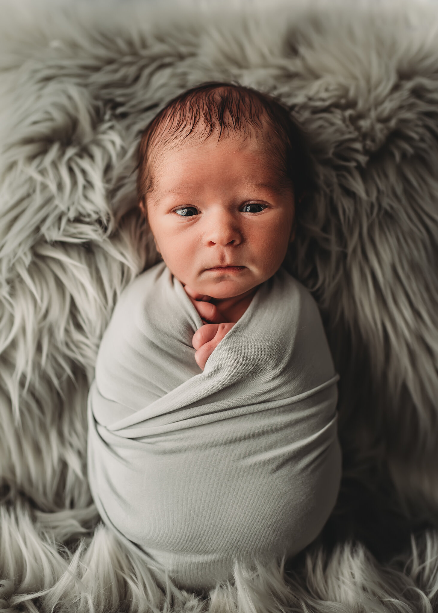 Peoria Newborn Photographer- Baby looks at camera while on grey rug