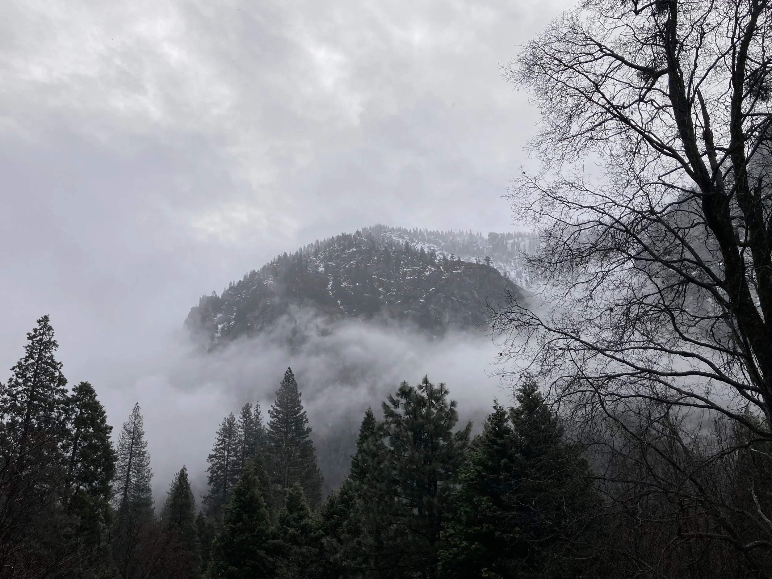 somatic therapy in new york