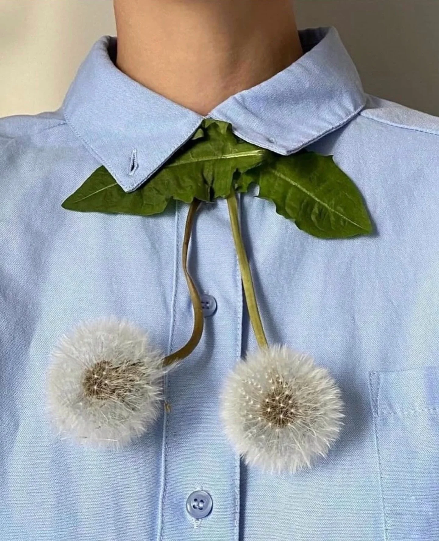 Ready for spring 🌷