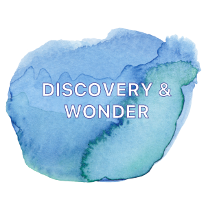 DISCOVERY-WONDER.png