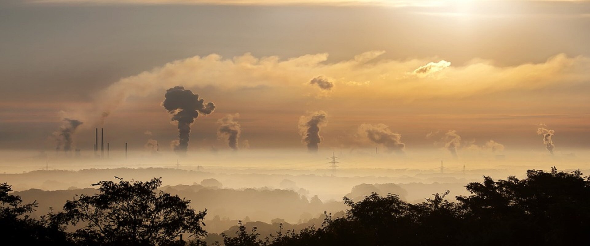 La contaminación del aire causa cáncer de pulmón?