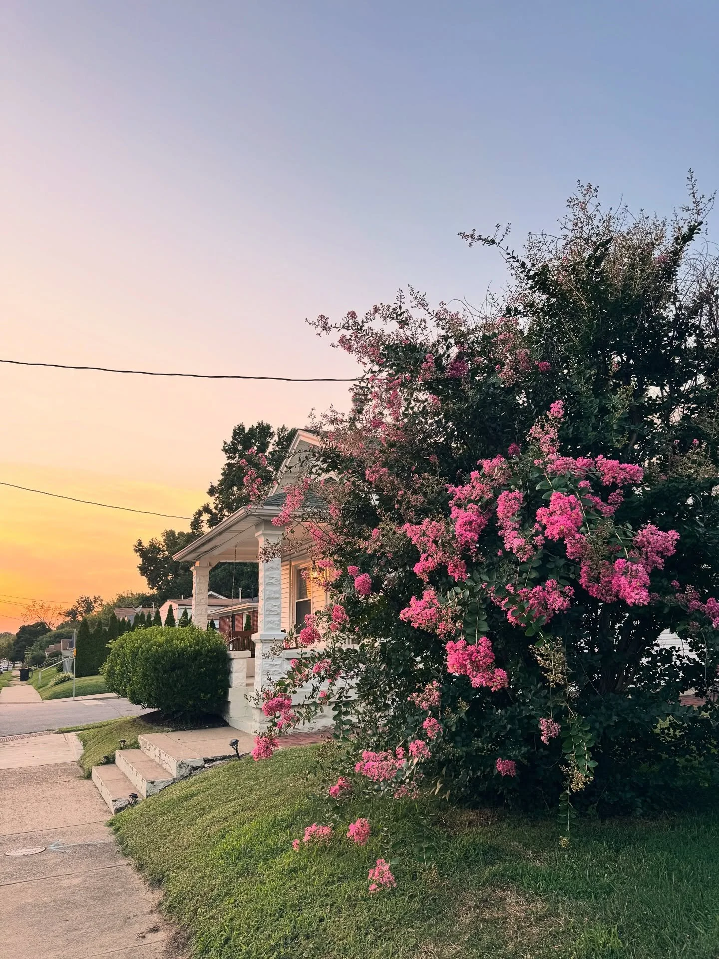 A pretty perfect summer evening in #Schnitzelburg. 🌅