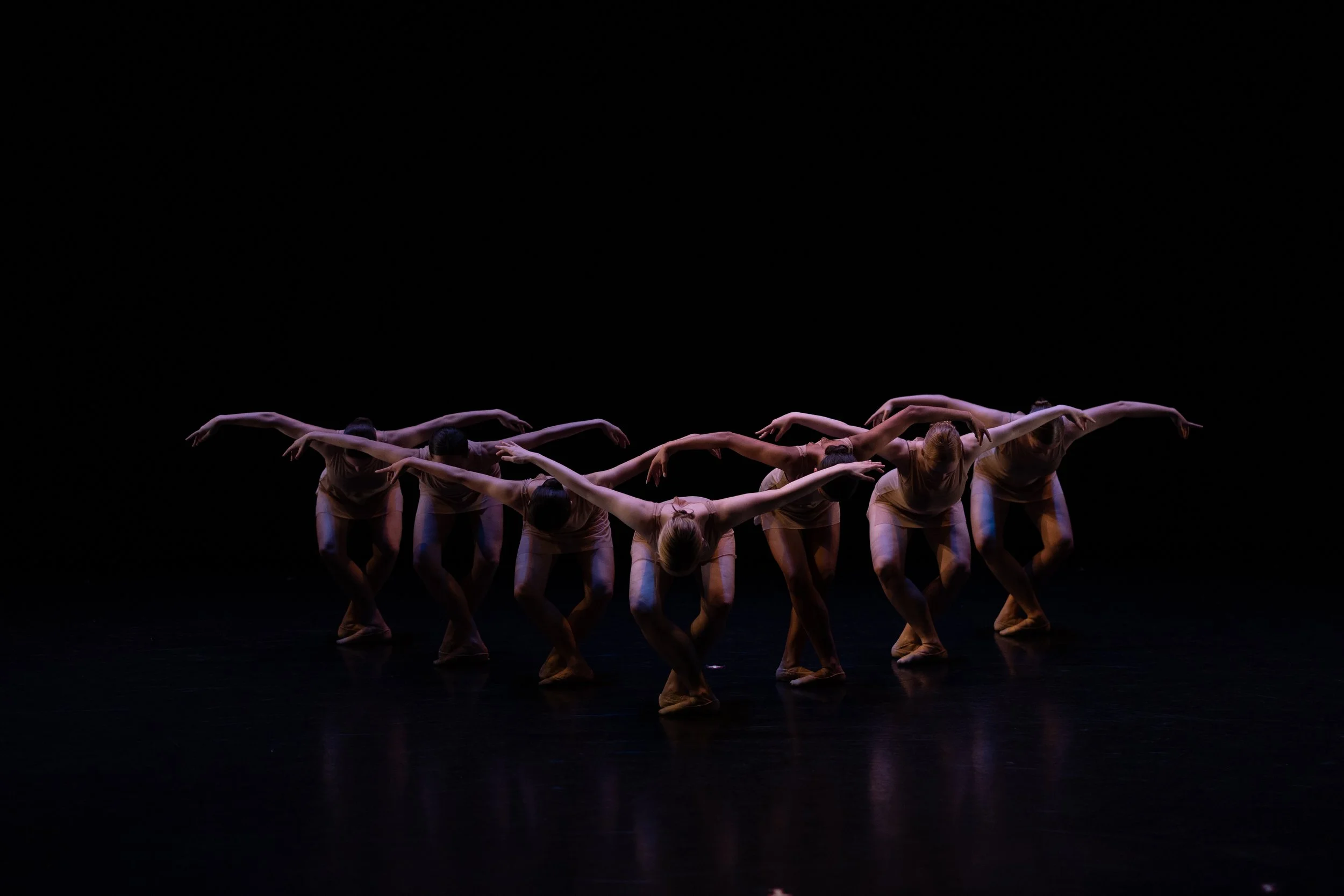 Jane Mok Photography