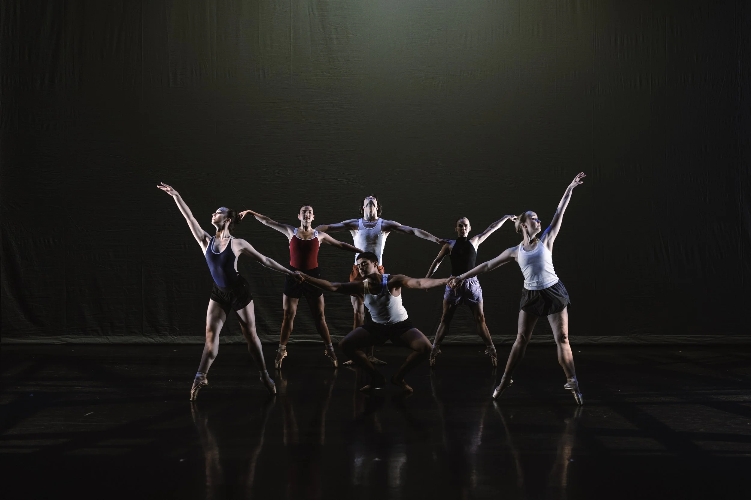 Jane Mok Photography