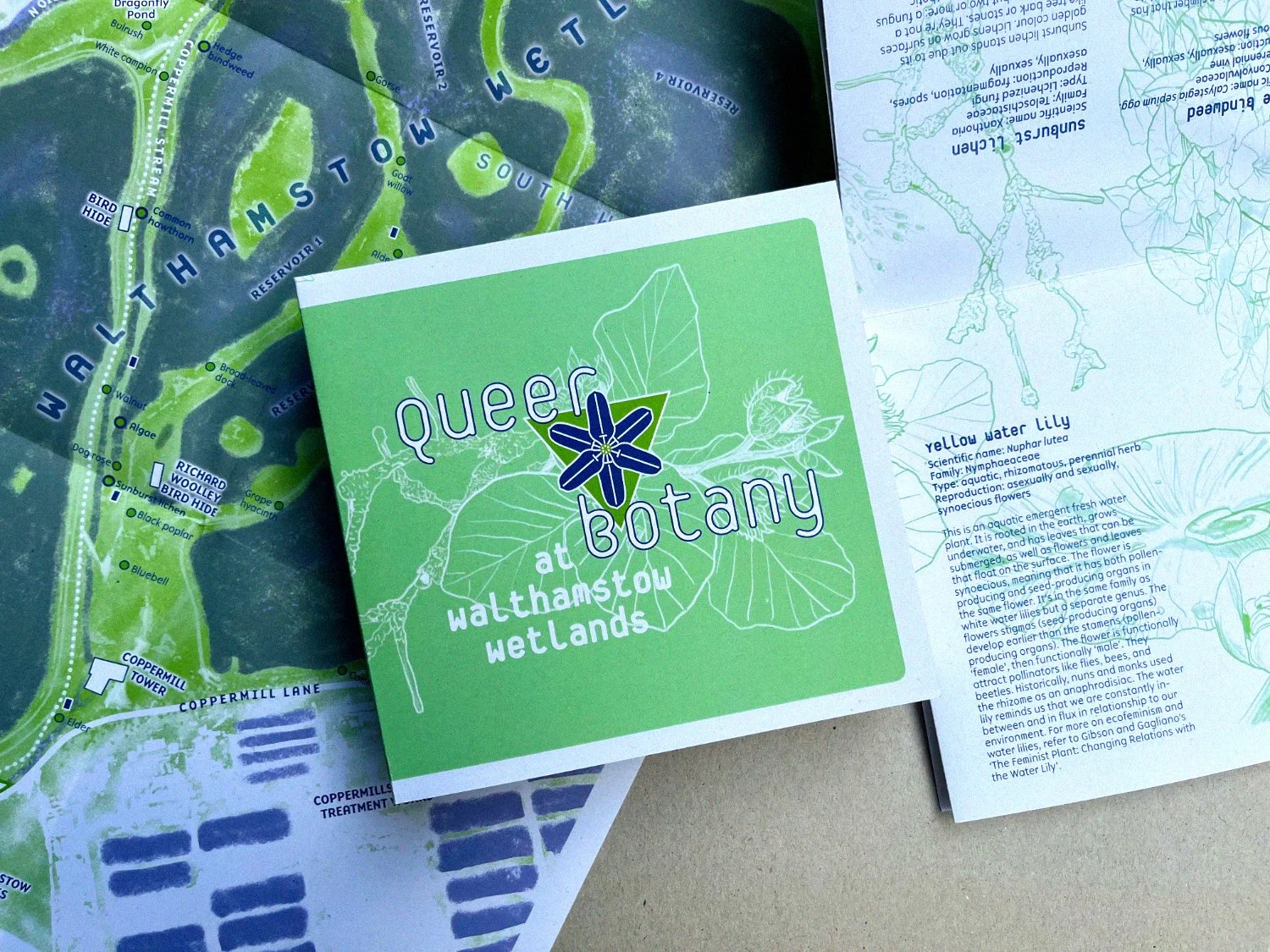 Queer Botany Guided Walks at Walthamstow Wetlands