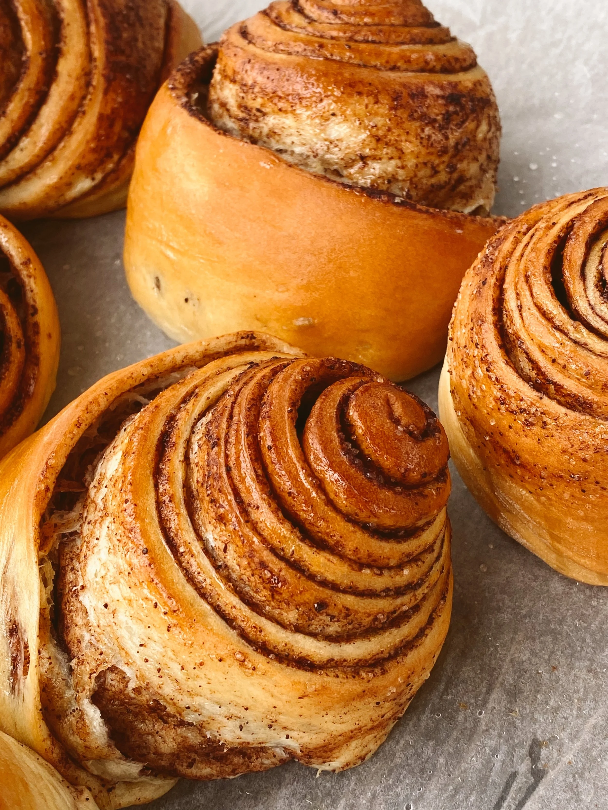 Tony's Bakery