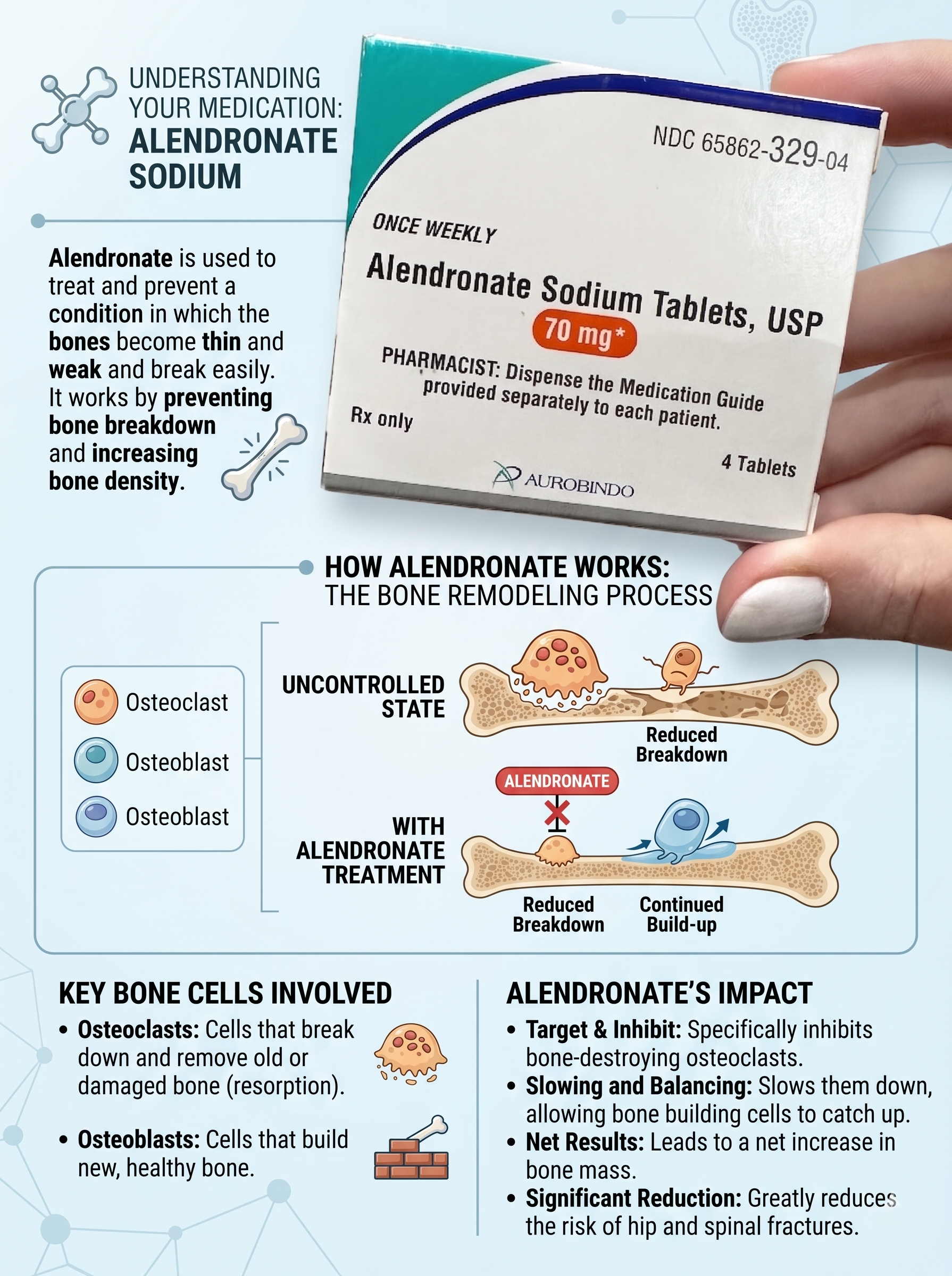 Alendronate Sodium Tablets for Osteopenia