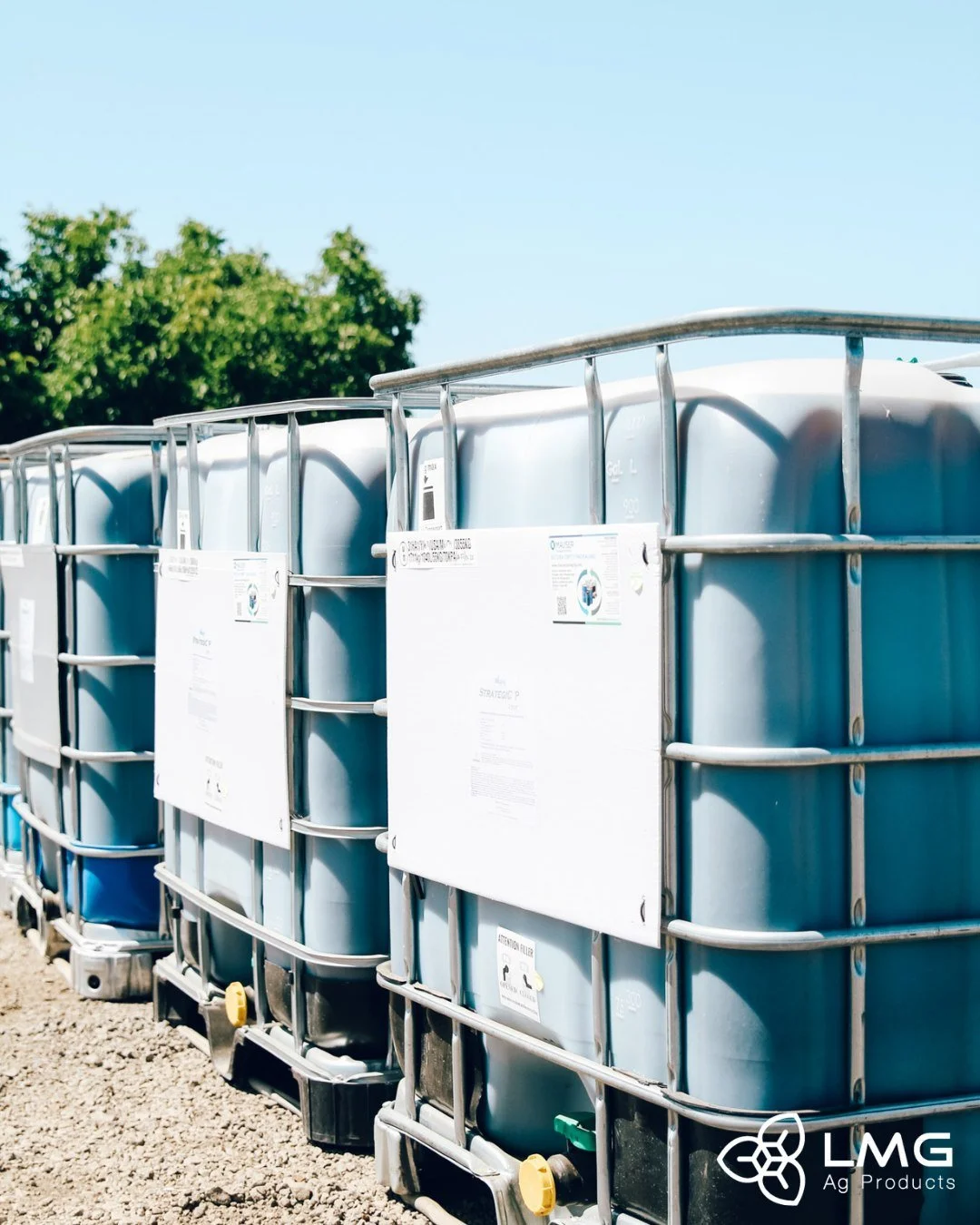 Behind every healthy crop is a trusted solution. At LMG Ag Products, we stand for providing farmers with the products and support they need to thrive.🌾 #FarmersFirst #AgInnovation #LMGAgProducts