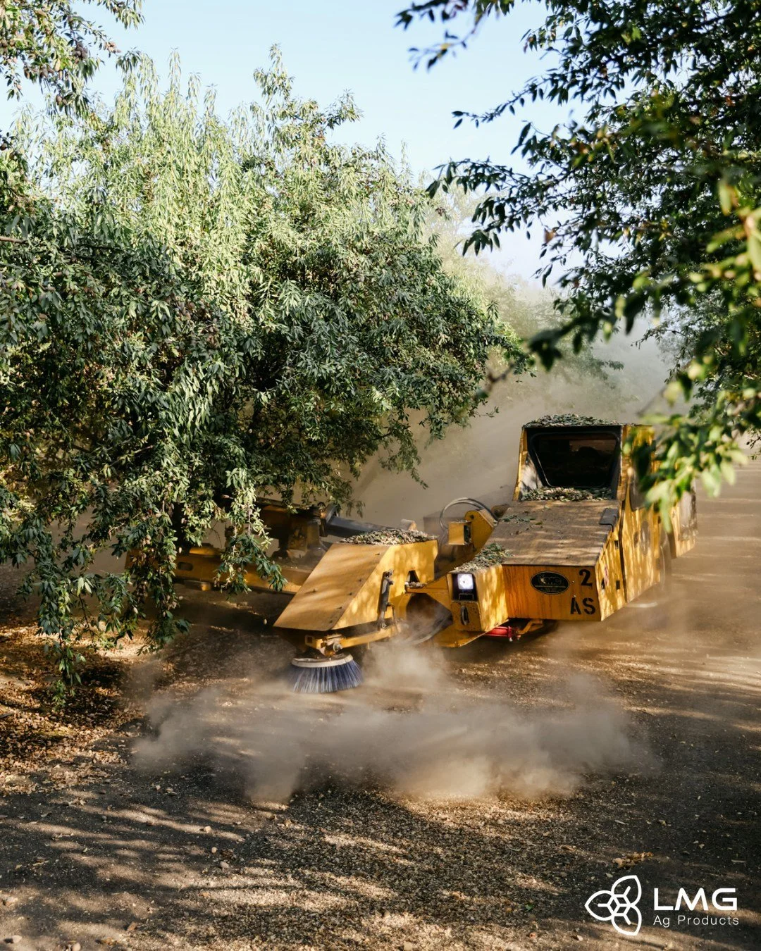 The busy season has arrived, harvest is here!🌳🚜 We&rsquo;re wishing our growers the best and are here to help you prepare for what&rsquo;s next! 
#lmgagproducts #harvest #almondharvest #qualityservice #chemicals #agbusiness #tularecounty