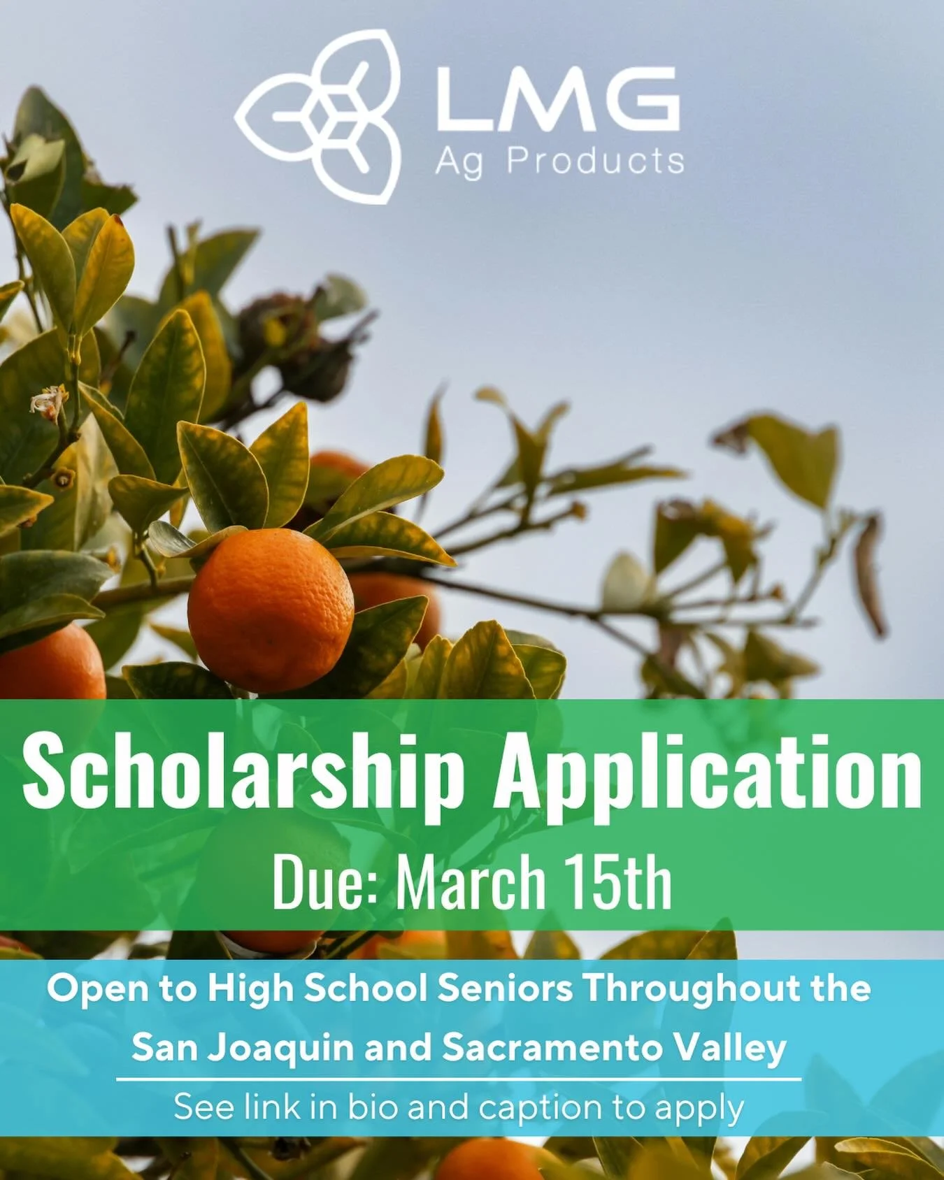 🎓🌾Our 2026 LMG Ag Products Scholarship Application is still open!

It must be physically in our office by March 15th, so make sure you give yourself plenty of time to mail it in!

We are devoted to helping the upcoming generation of Ag leaders succ