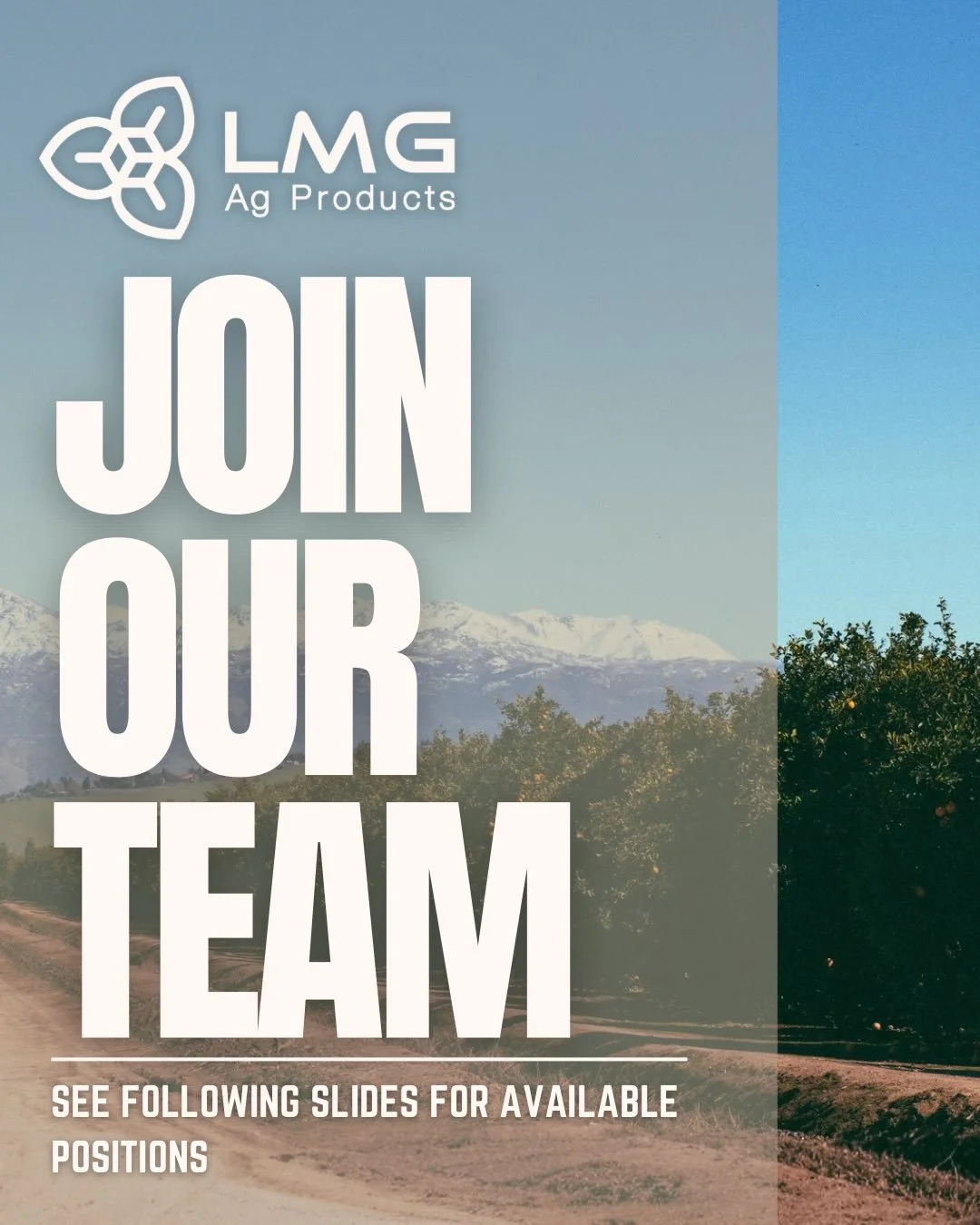 📢WE ARE HIRING

‼️For ALL POSITIONS Email Your Resume To:
SCOTT@lmgagproducts.com

#hiring #centralvalleyca #agriculture #helpwanted #farming