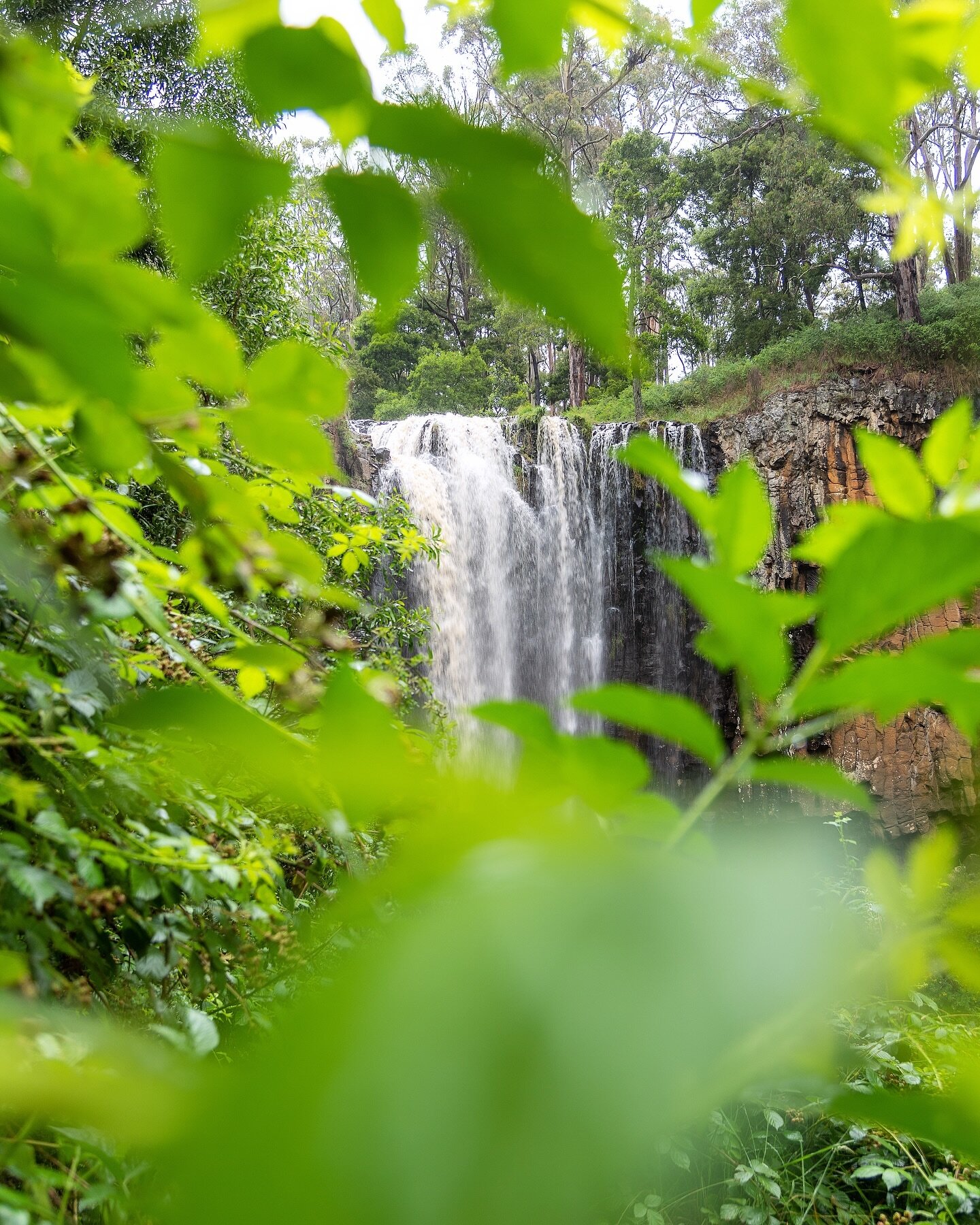 Take me back to my favourite waterfall!&hellip; Such a hot day today, hope you&rsquo;ve all kept cool 🍃 #trenthamfalls