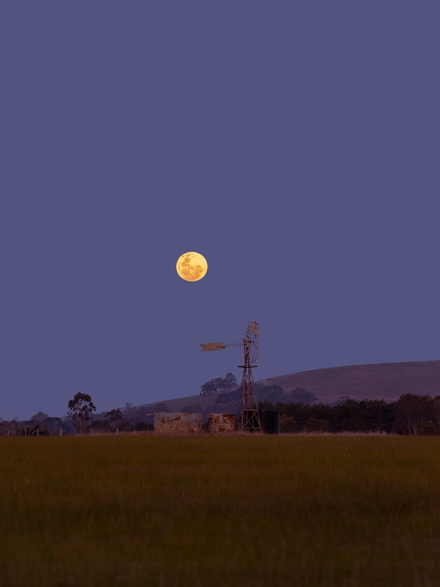 A beautiful moonrise at home tonight 😍 #moon #windmill