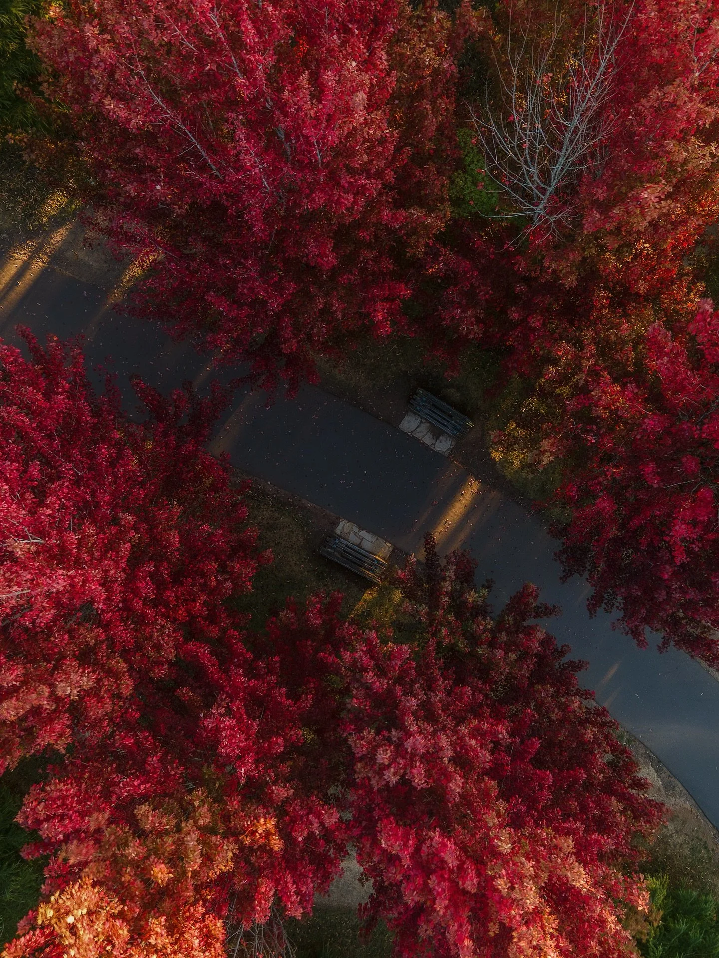 Over the years this has been a favourite spot to visit! Summer, autumn, winter and spring&hellip; but especially in autumn with all those red leaves 🍁