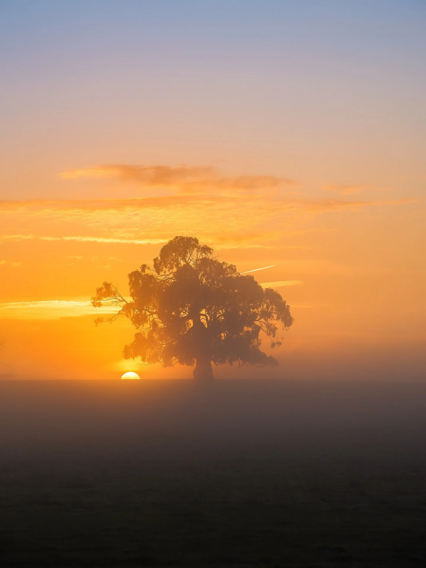 I was lucky to photograph this tree for 5 years before it disappeared. I&rsquo;ve witnessed the most beautiful sunrises I&rsquo;ve ever seen in my life at this spot. I was going to put a post with all my favourites but they didn&rsquo;t fit!! I&rsquo