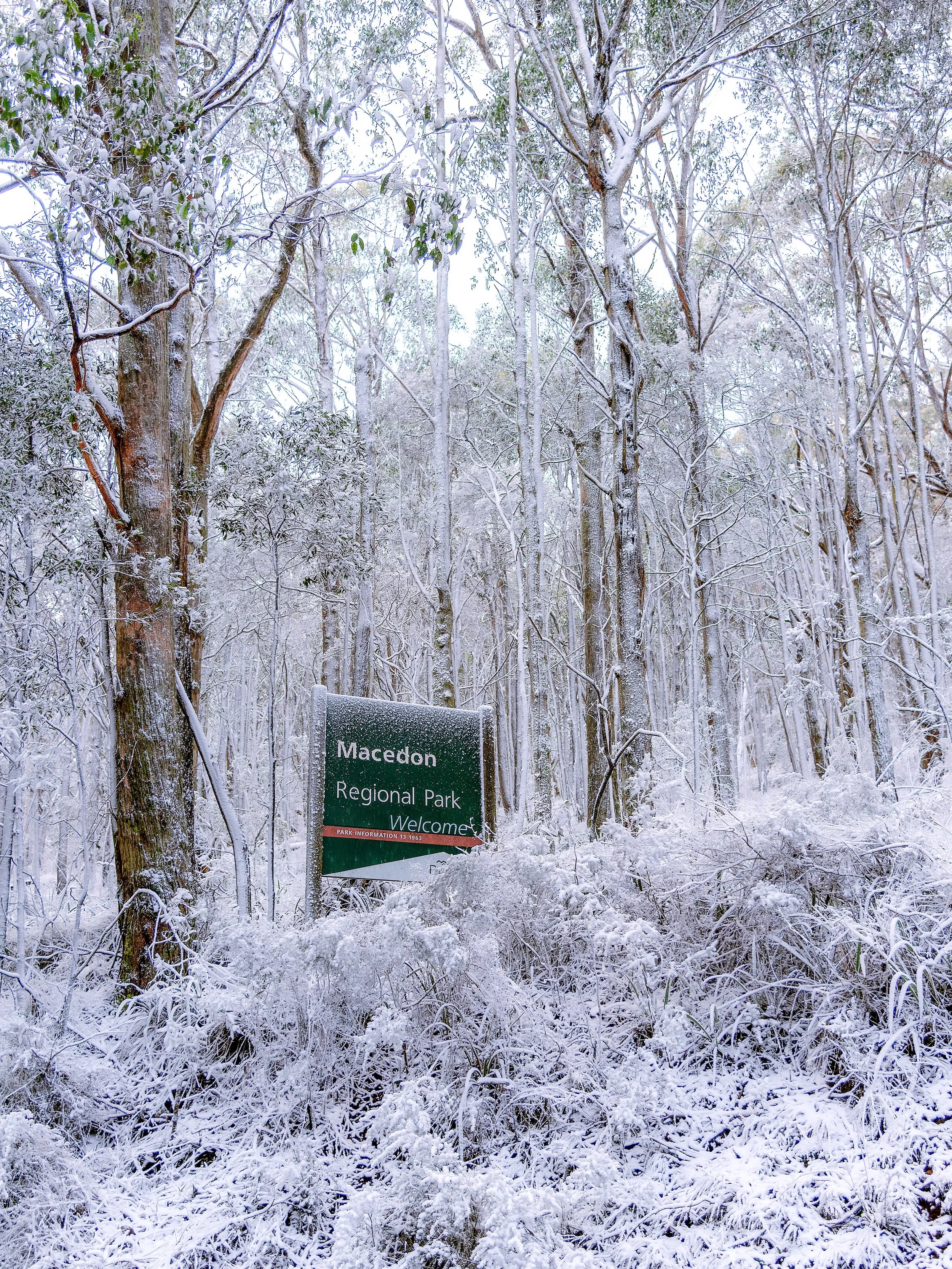 Hello winter 😍❄️

I&rsquo;ve taken some of my favourite images during the winter months and published my first book to preserve them forever 😍

I&rsquo;m always hopeful of snow on Mount Macedon during this time and getting closer to enough new imag